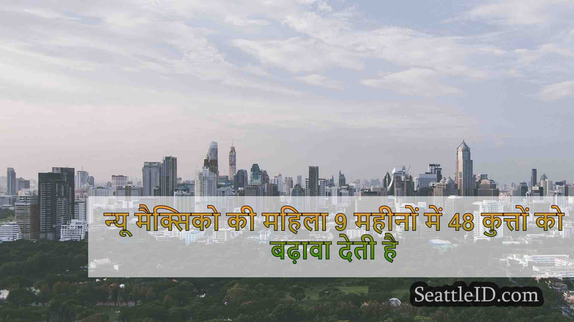 सिएटल समाचार SeattleID