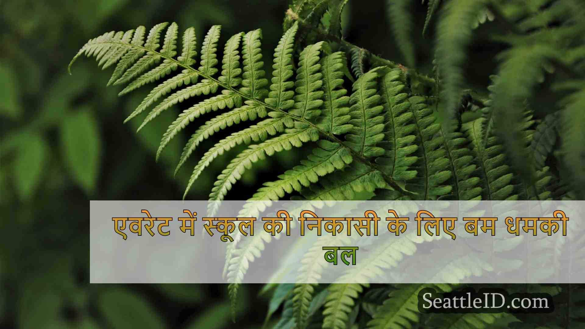 सिएटल समाचार SeattleID