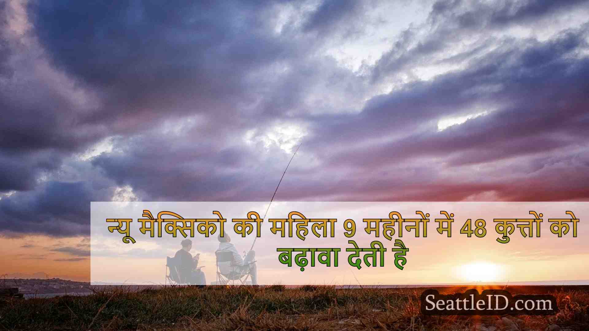 सिएटल समाचार SeattleID