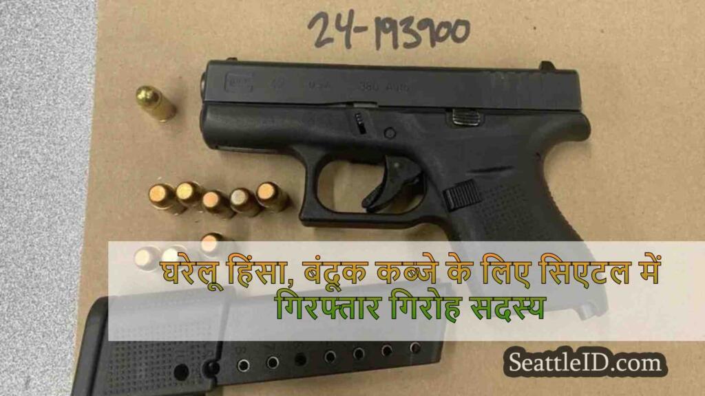 घरेलू हिंसा, बंदूक कब्जे के लिए सिएटल