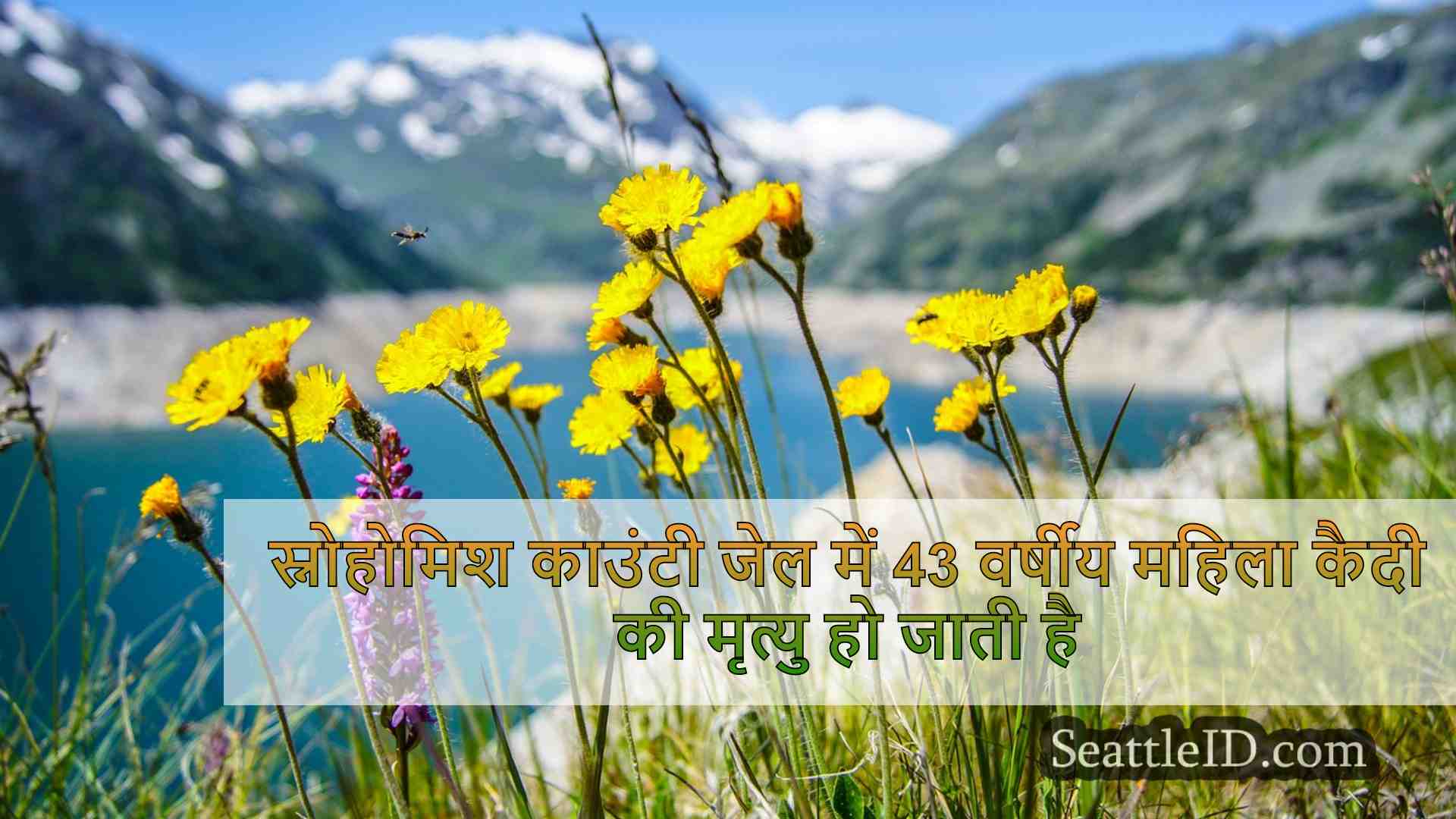 सिएटल समाचार SeattleID