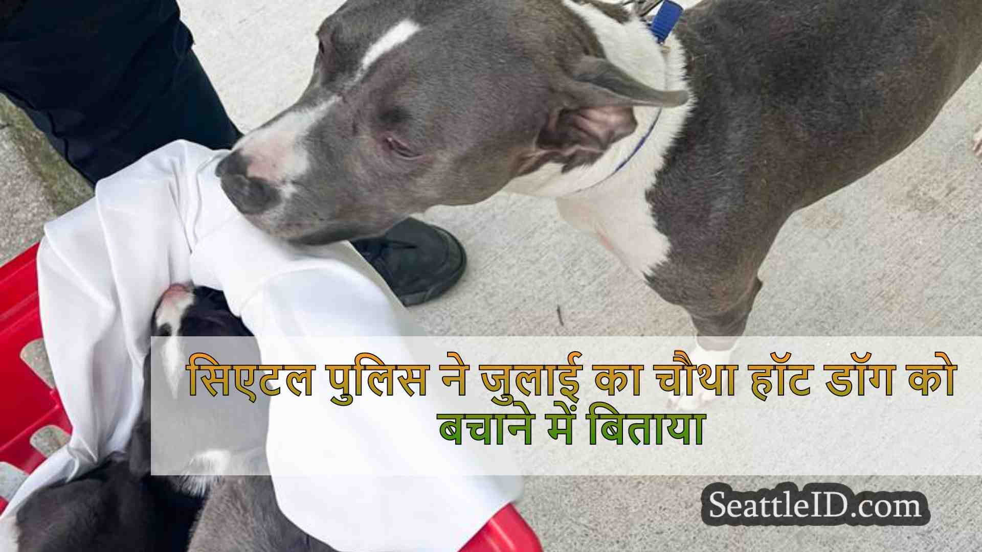 सिएटल समाचार SeattleID