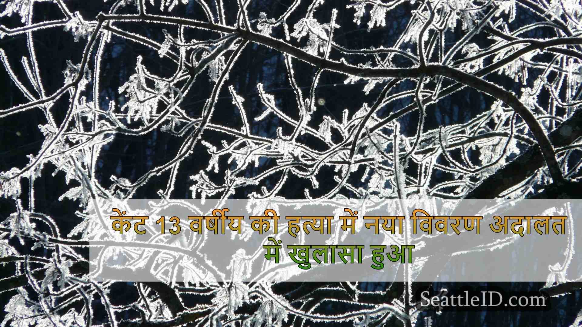 सिएटल समाचार SeattleID