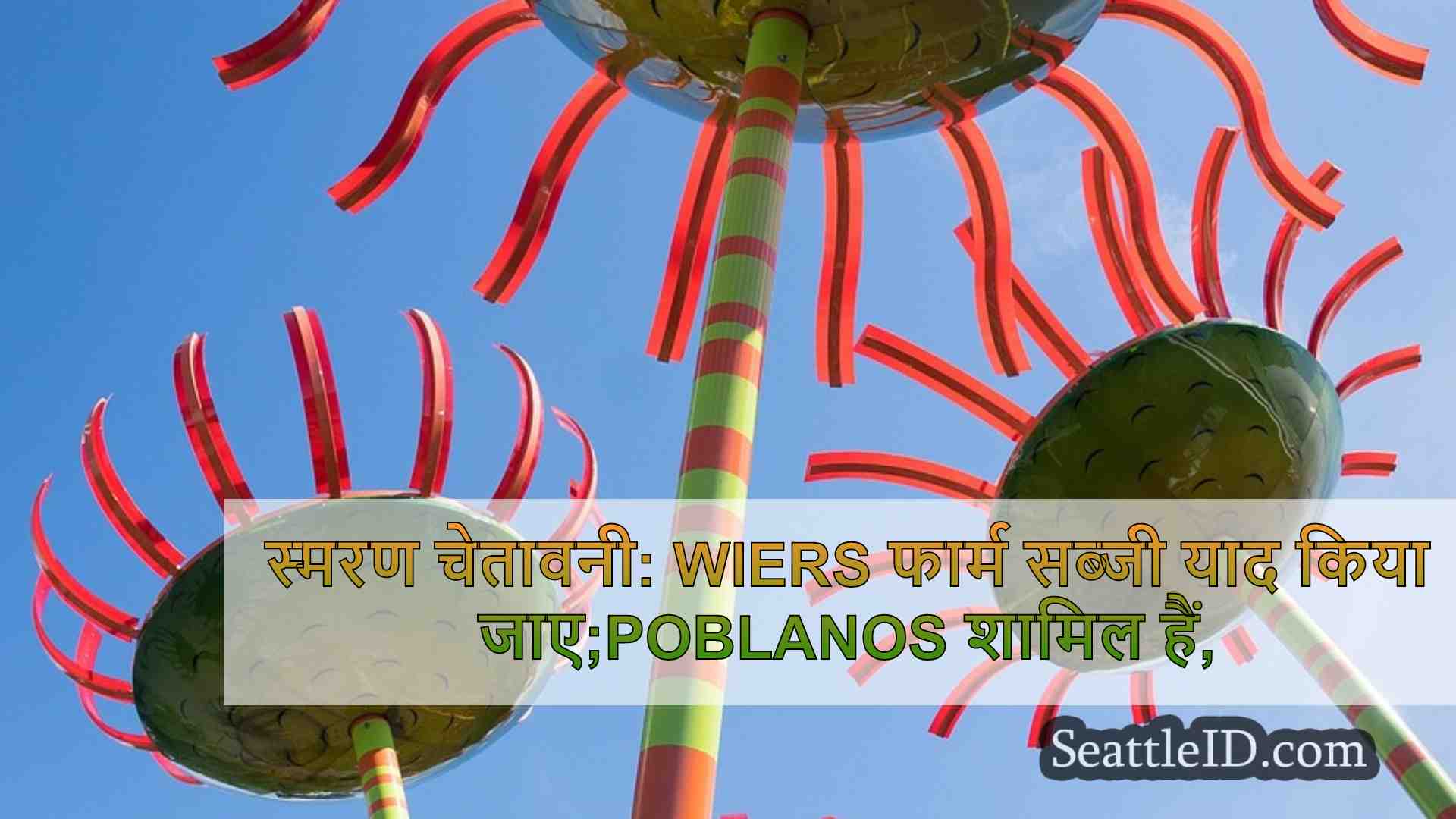 सिएटल समाचार SeattleID