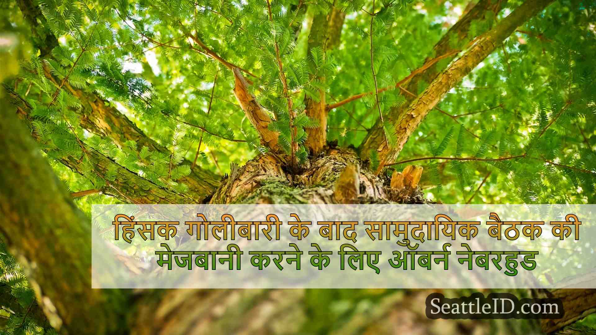 सिएटल समाचार SeattleID