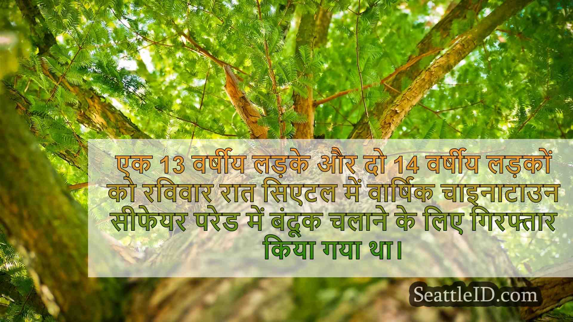 सिएटल समाचार SeattleID