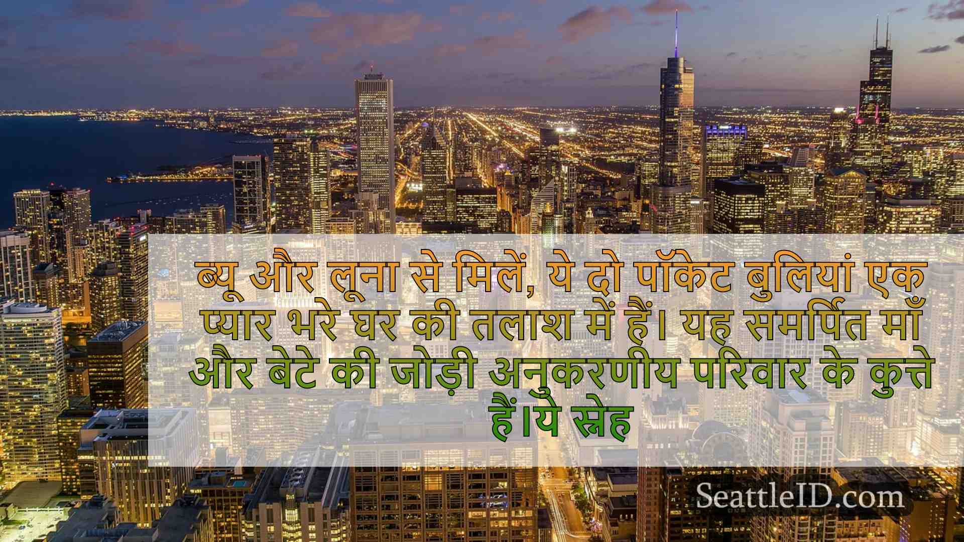 सिएटल समाचार SeattleID