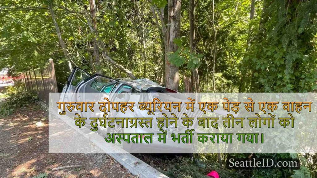 3 ब्यूरो में कार हिट ट्री के रूप में