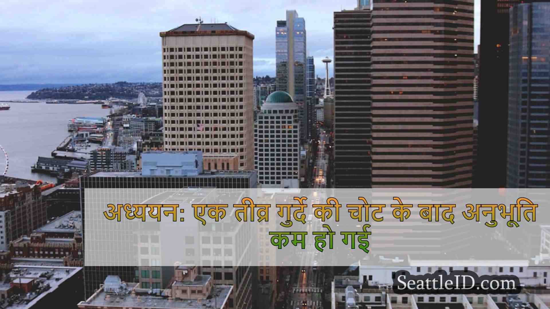 सिएटल समाचार SeattleID