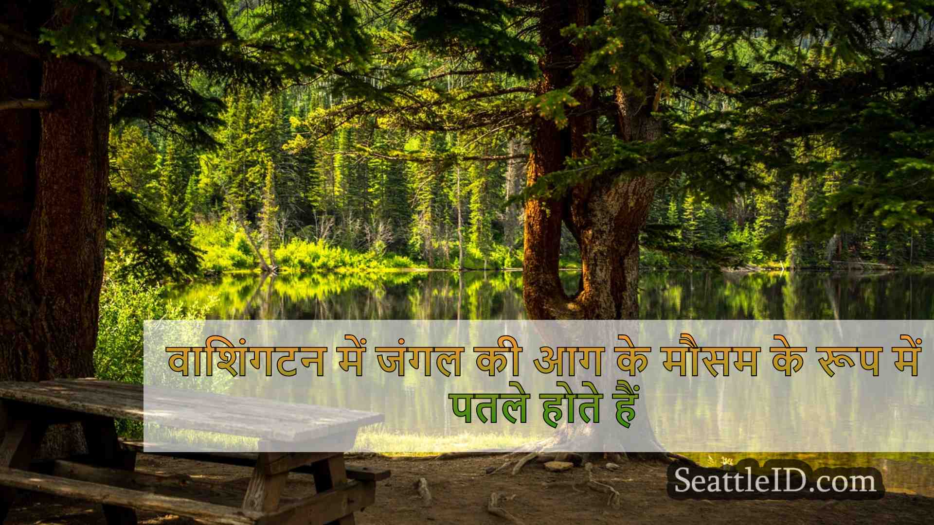 सिएटल समाचार SeattleID