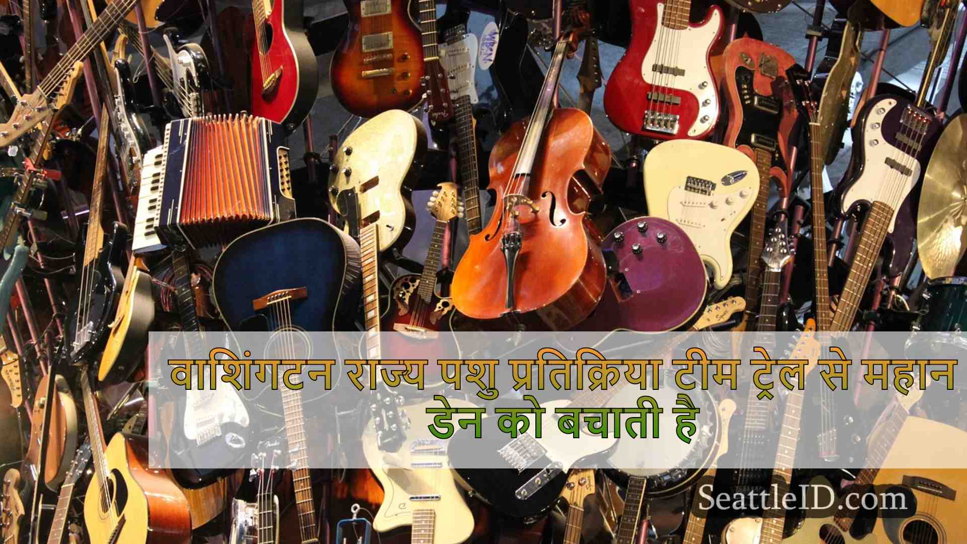 सिएटल समाचार SeattleID