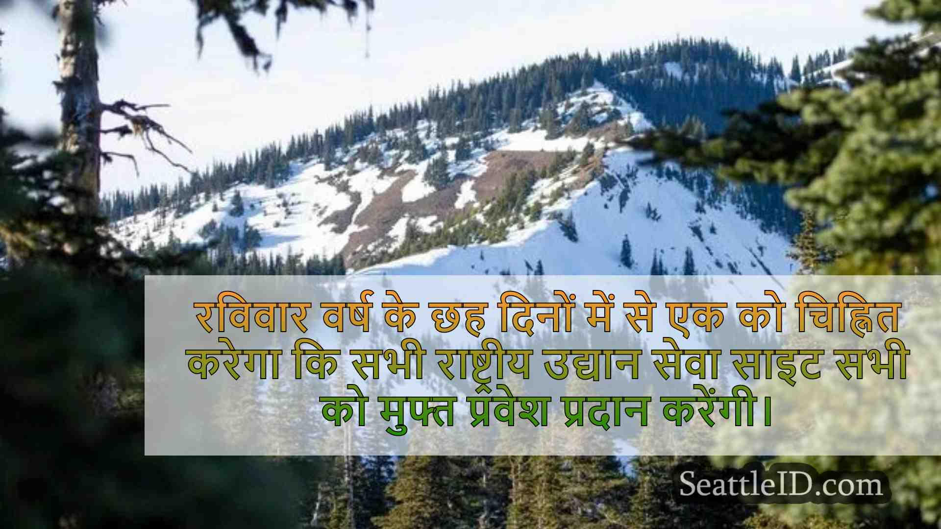 सिएटल समाचार SeattleID