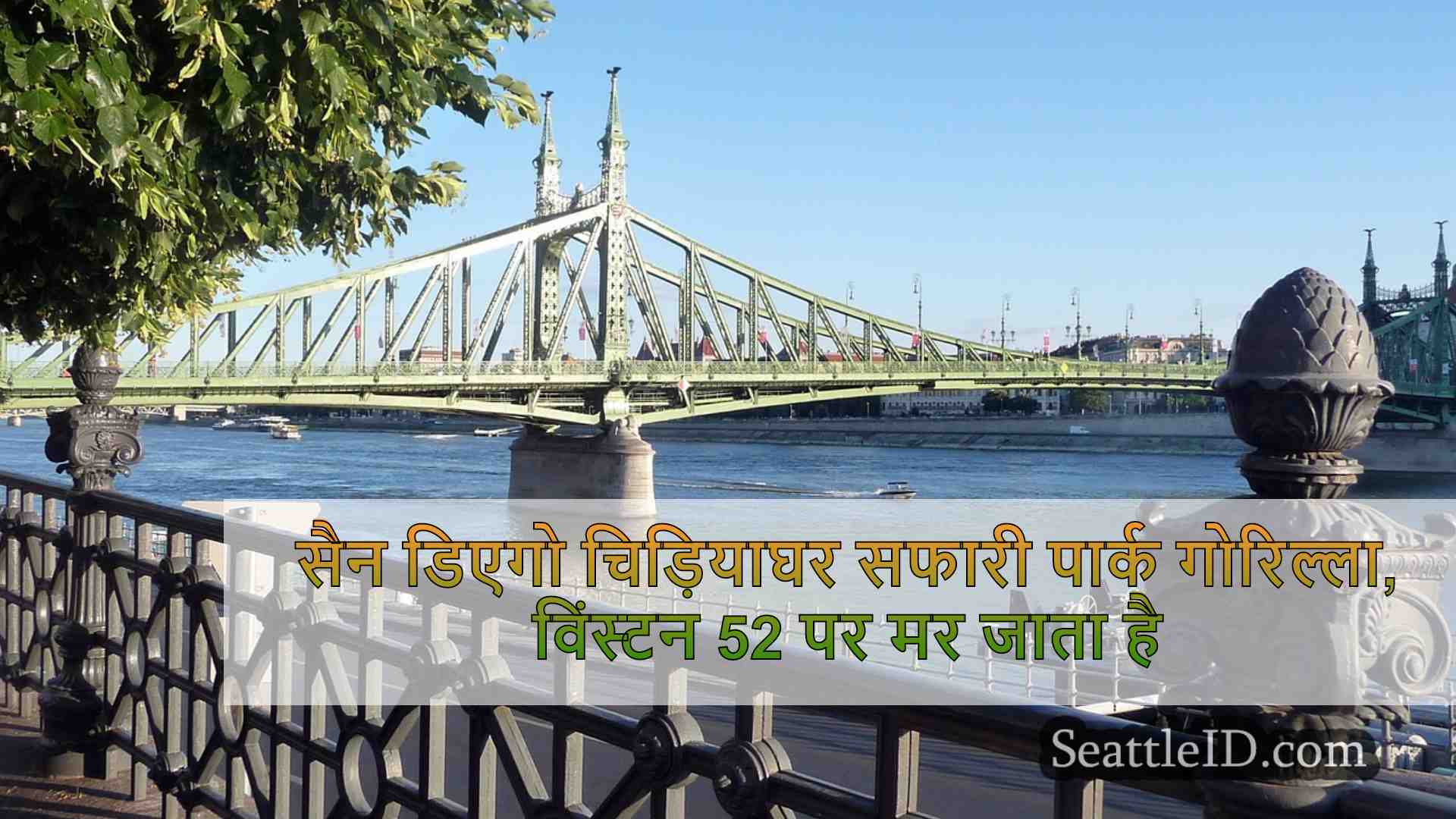 सिएटल समाचार SeattleID