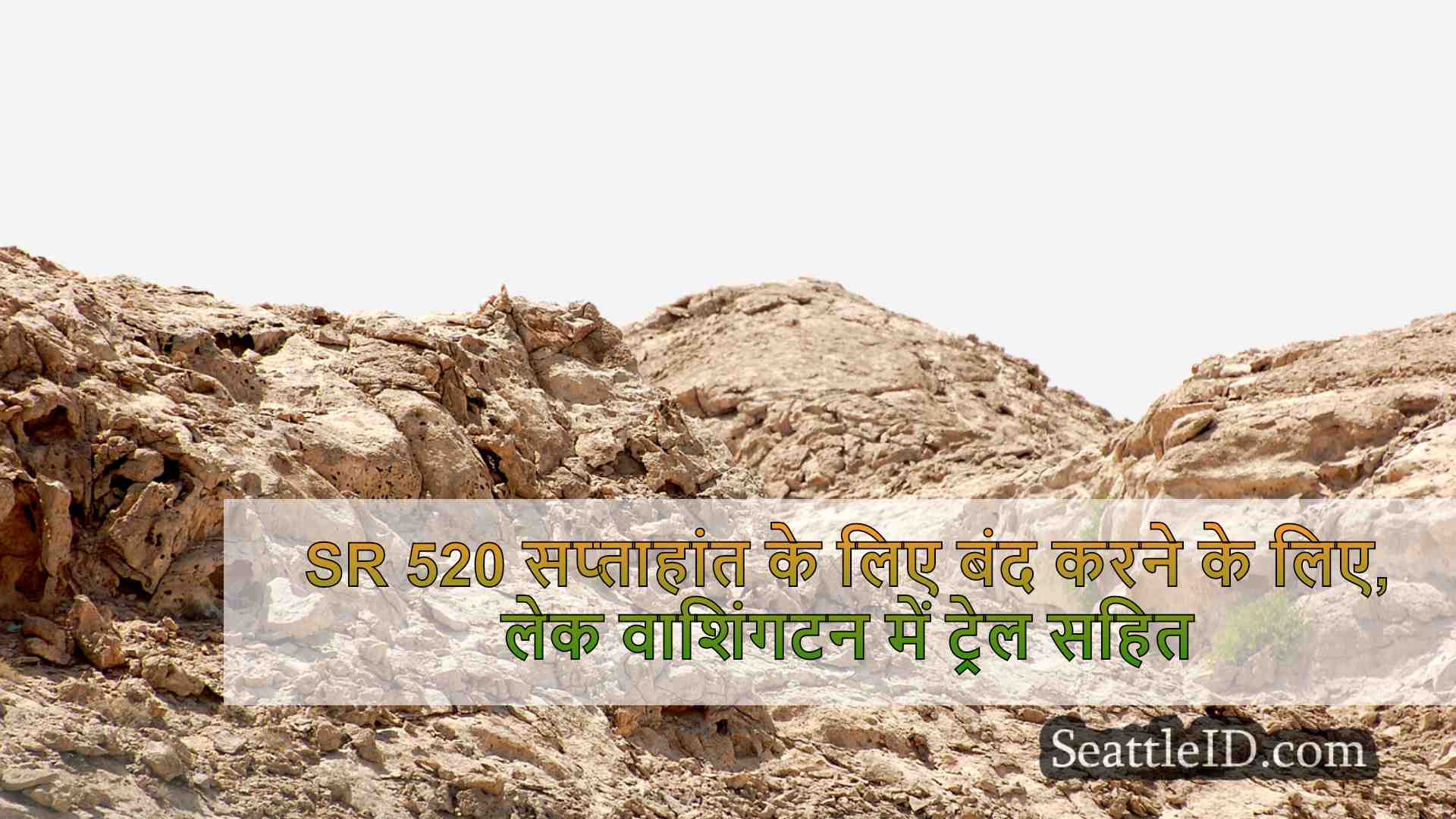 सिएटल समाचार SeattleID