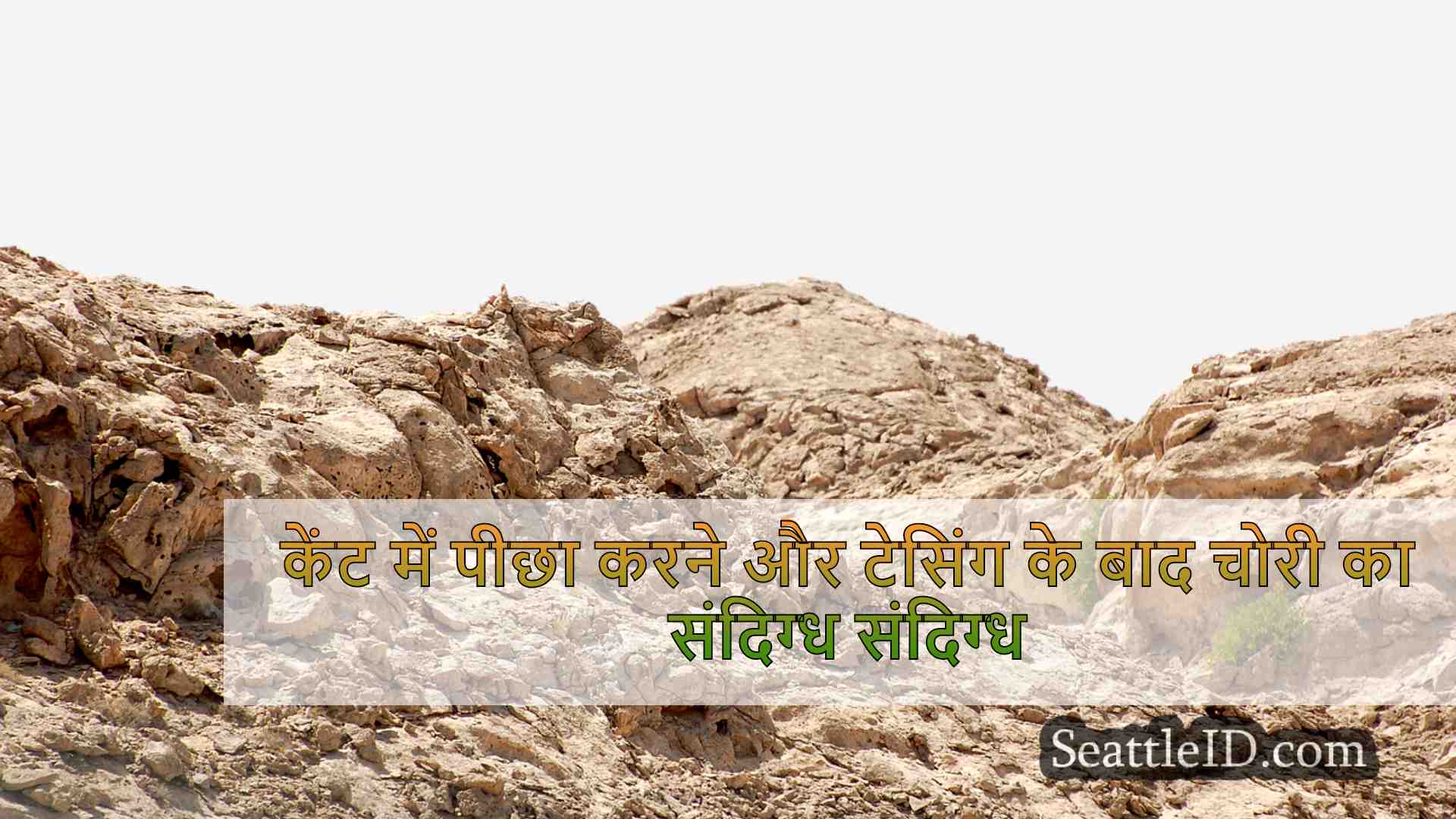 सिएटल समाचार SeattleID