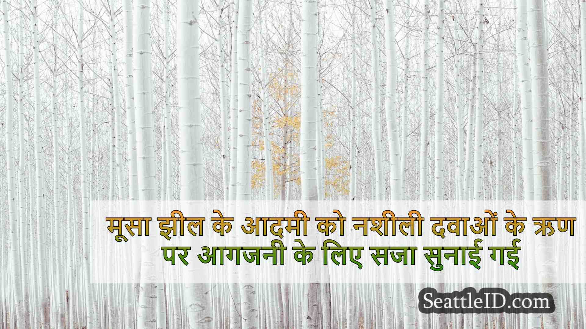 सिएटल समाचार SeattleID