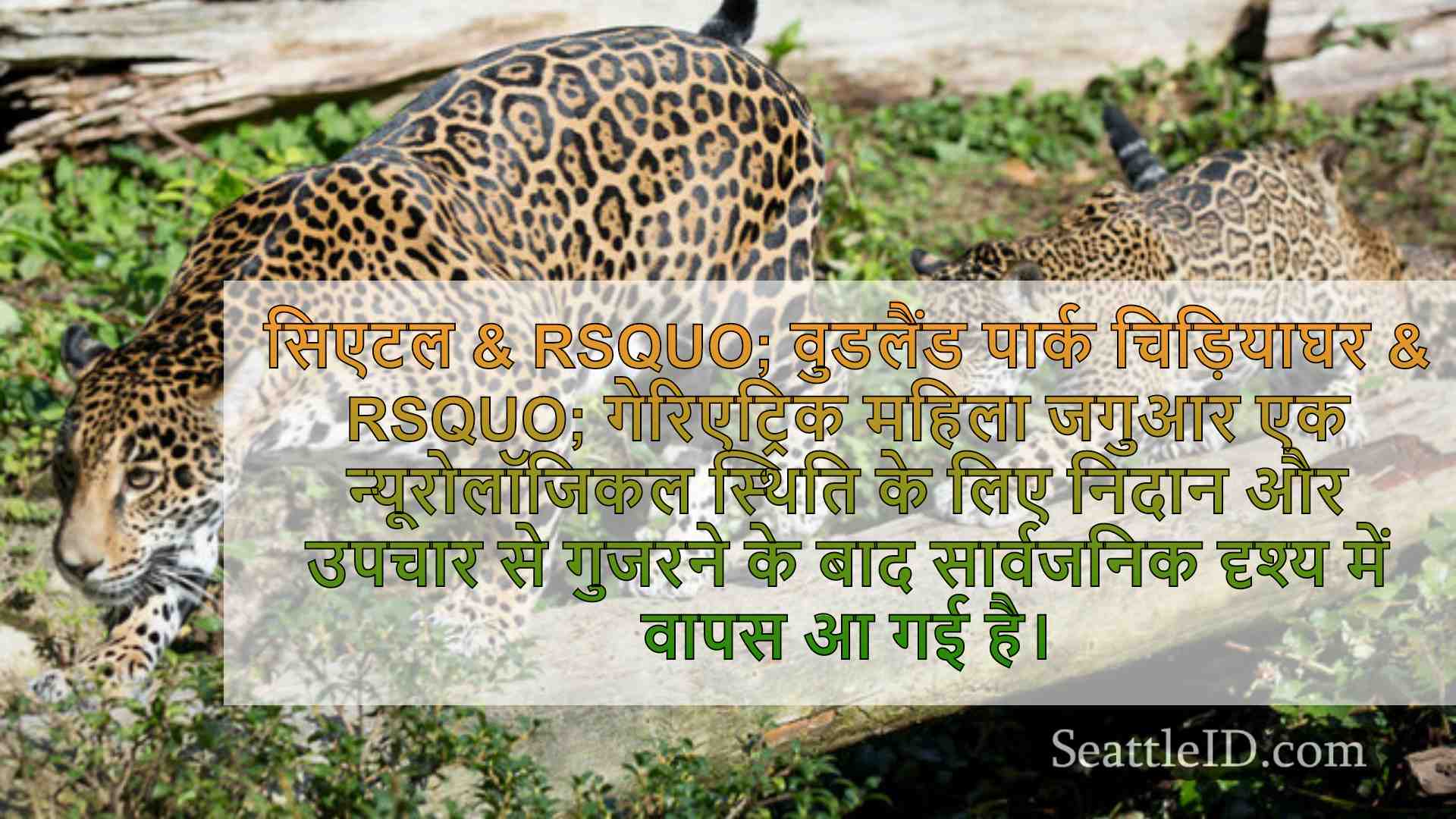 सिएटल समाचार SeattleID