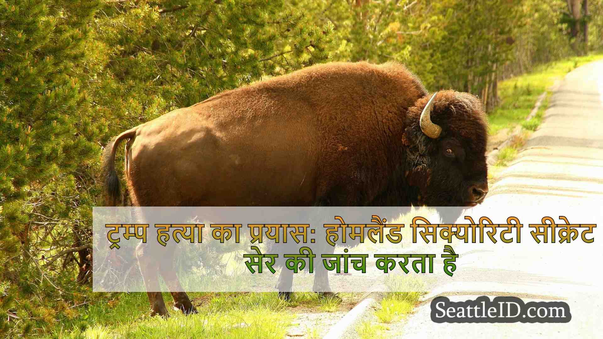 सिएटल समाचार SeattleID