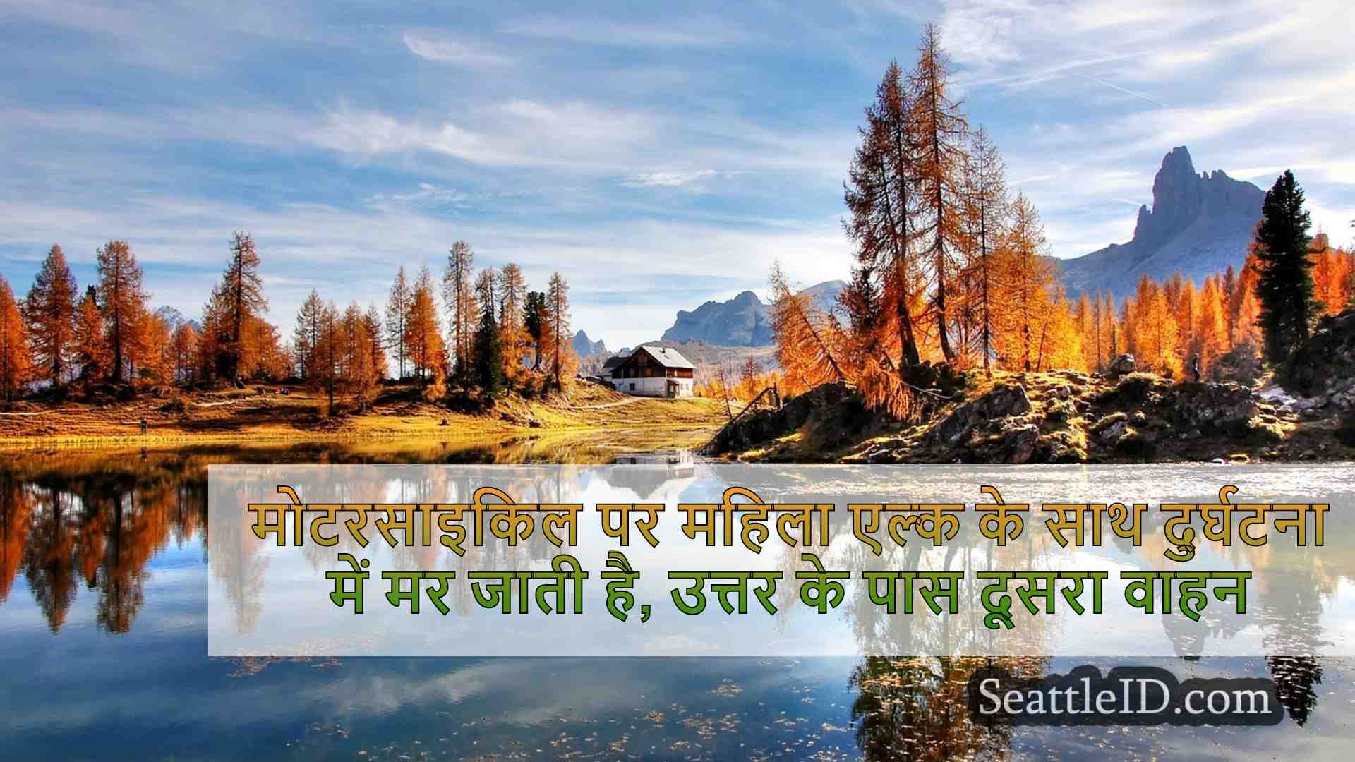 सिएटल समाचार SeattleID