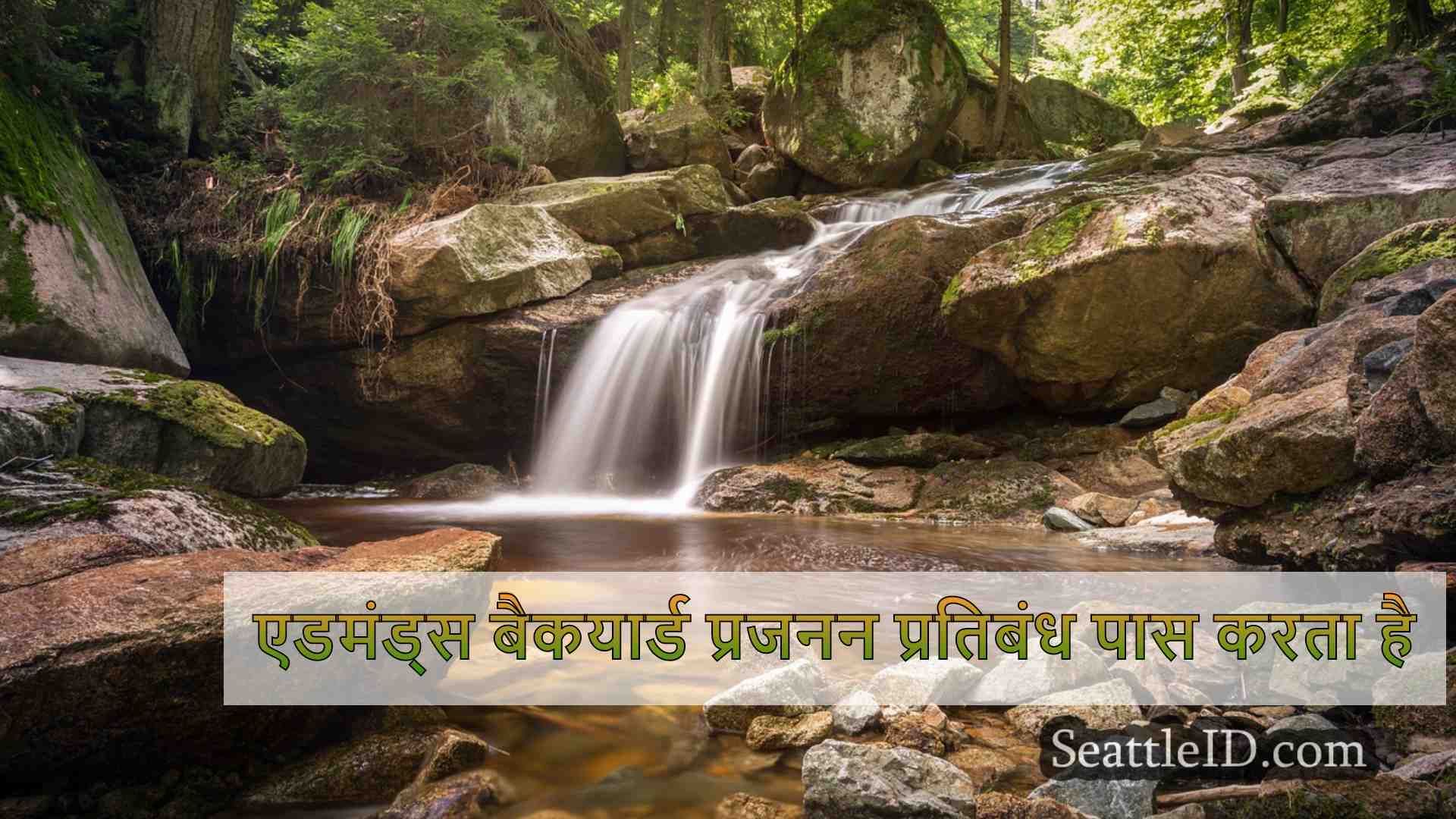 सिएटल समाचार SeattleID