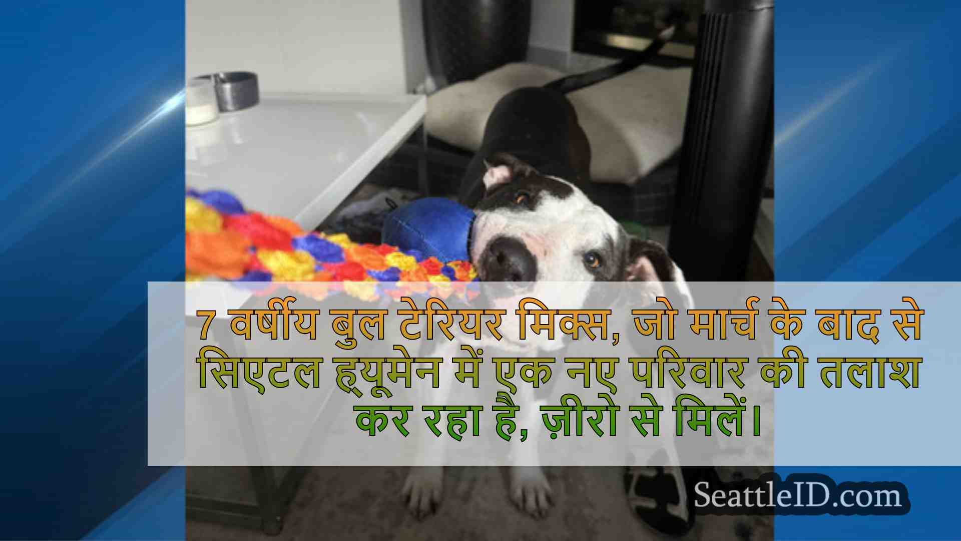 सिएटल समाचार SeattleID