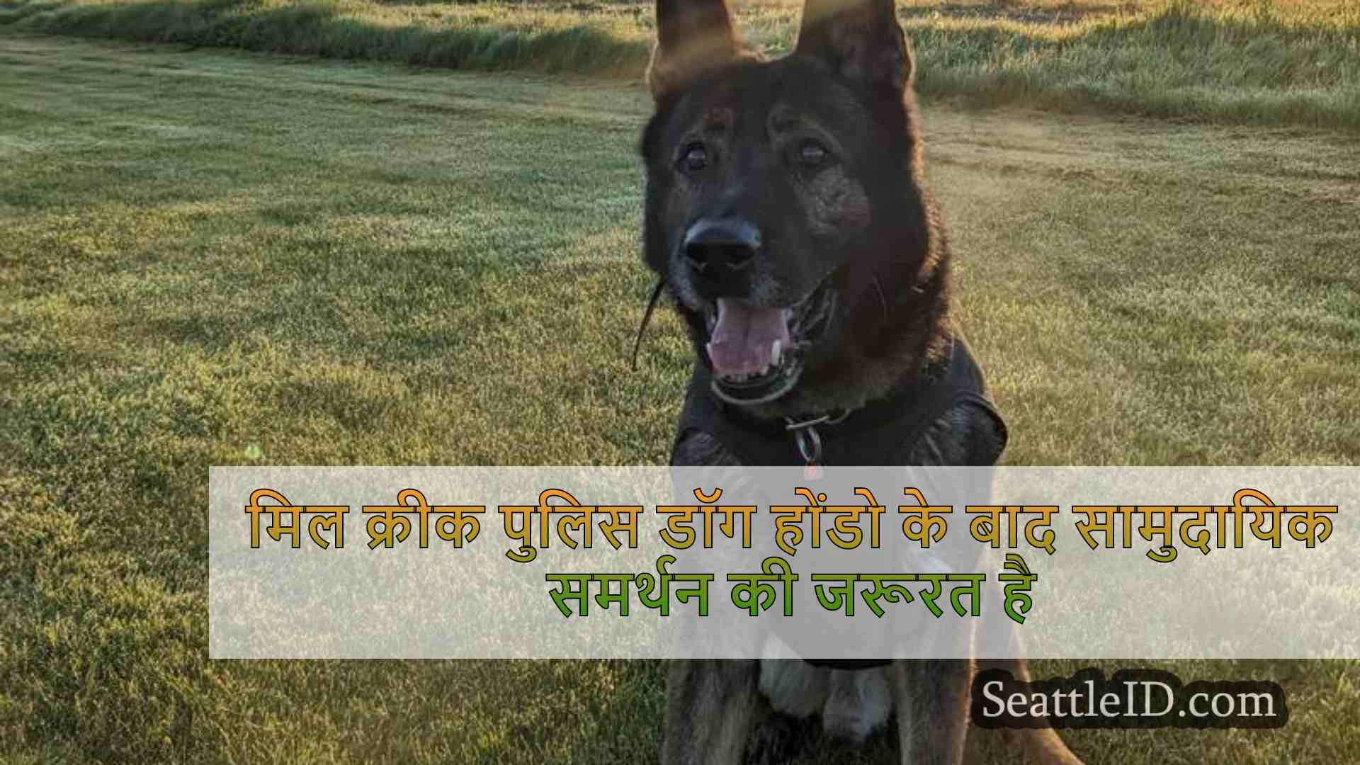 मिल क्रीक पुलिस डॉग होंडो सर्जरी से