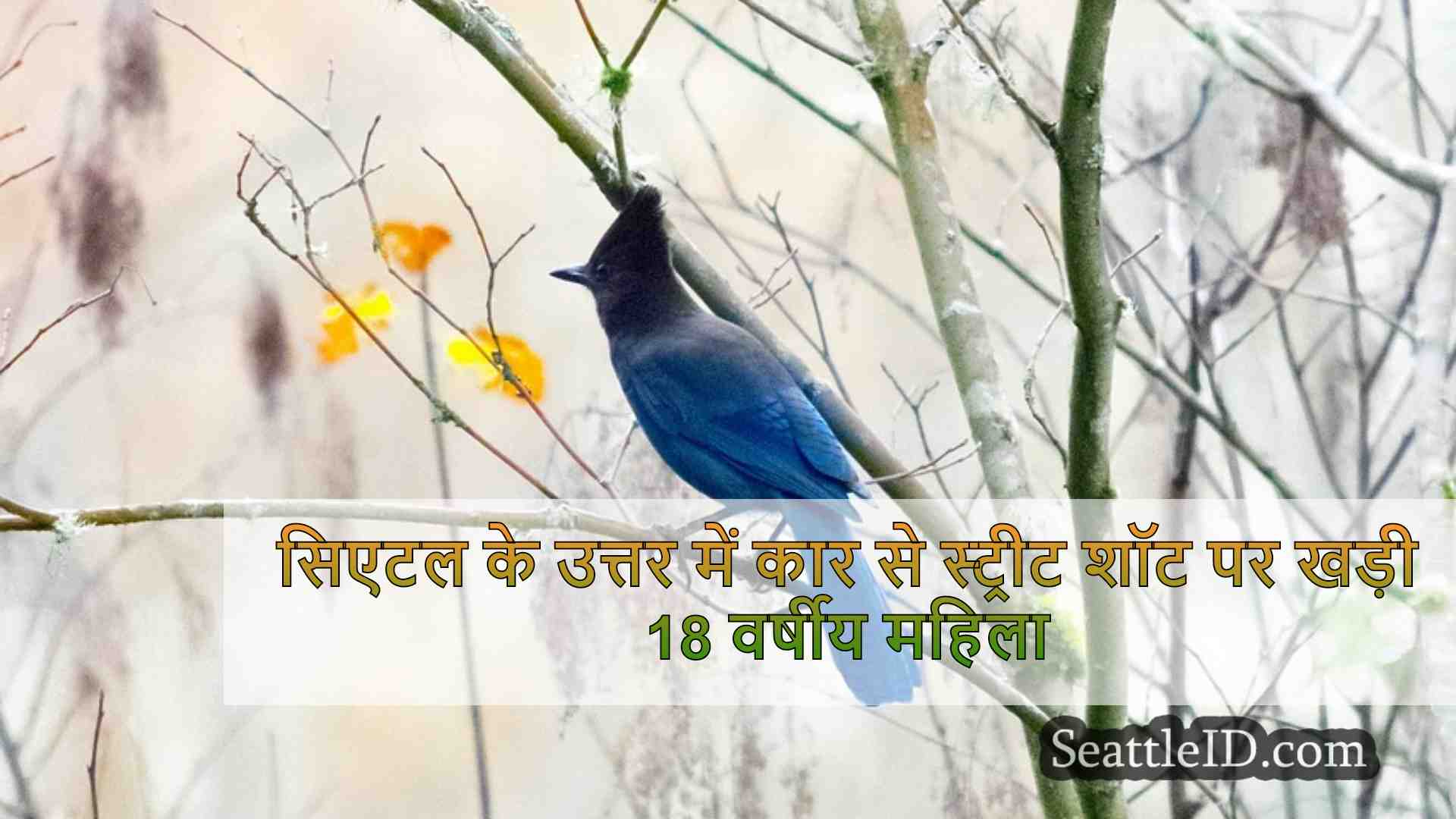 सिएटल समाचार SeattleID