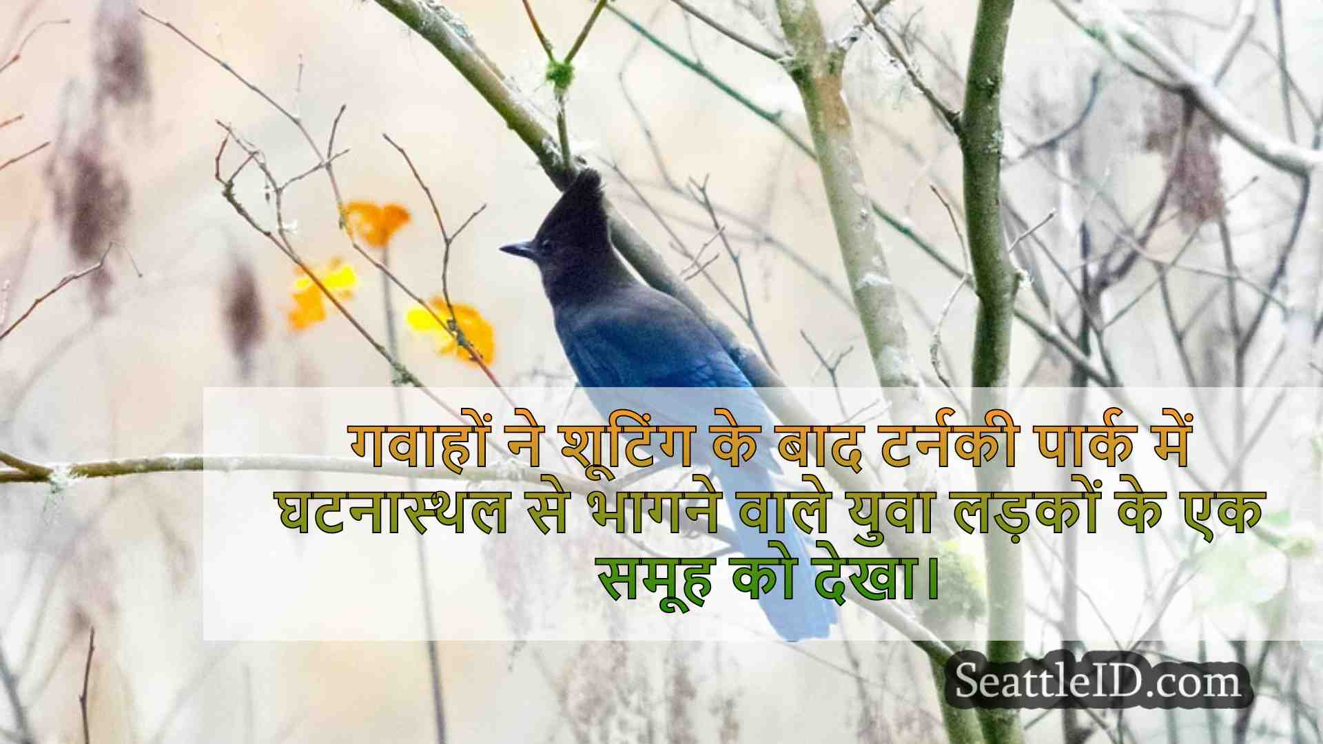 सिएटल समाचार SeattleID