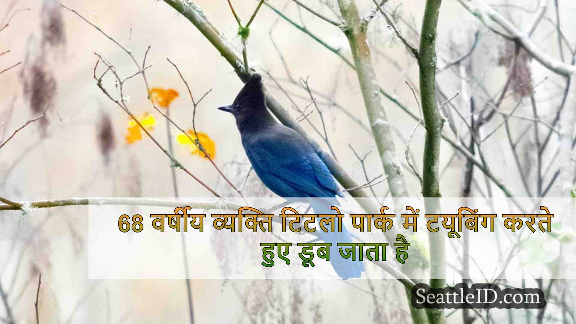 सिएटल समाचार SeattleID