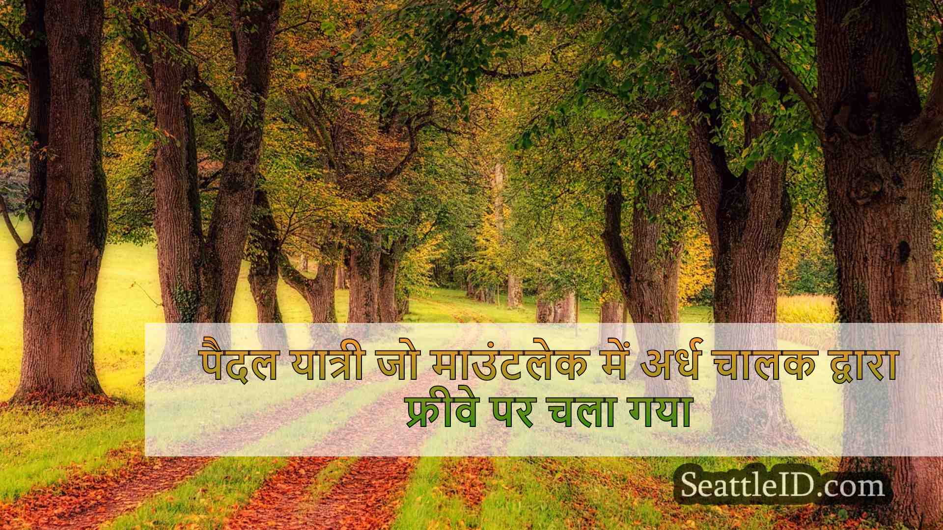 सिएटल समाचार SeattleID