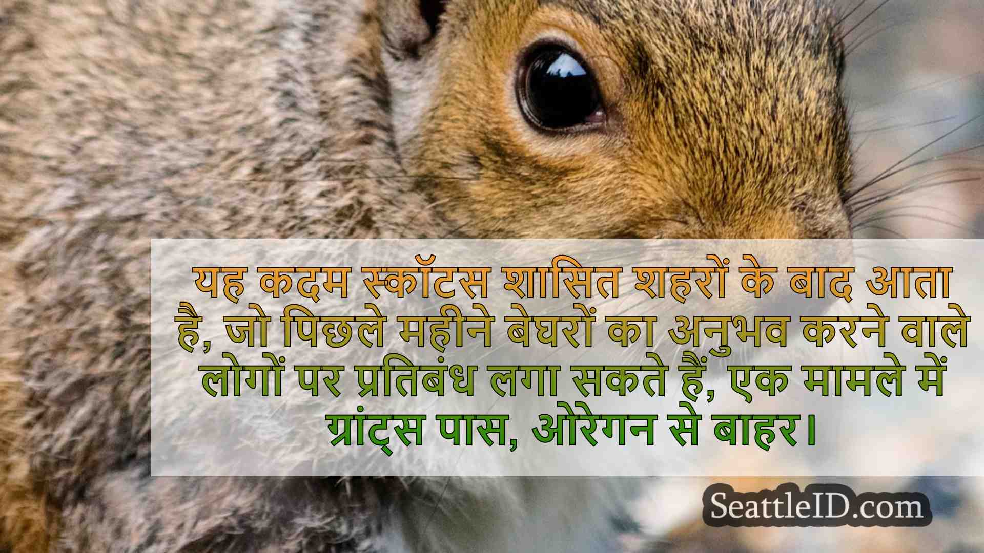 सिएटल समाचार SeattleID