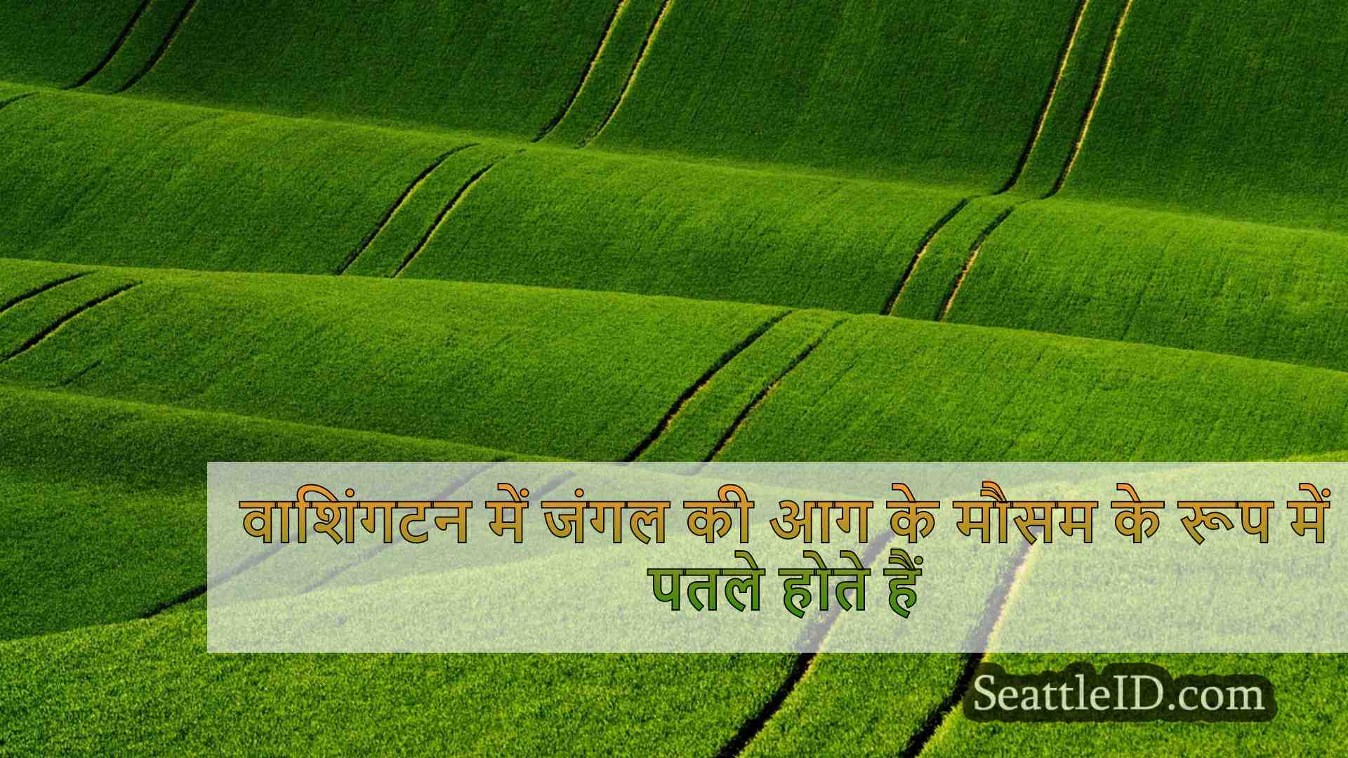 वाशिंगटन में जंगल की आग के मौसम के रूप