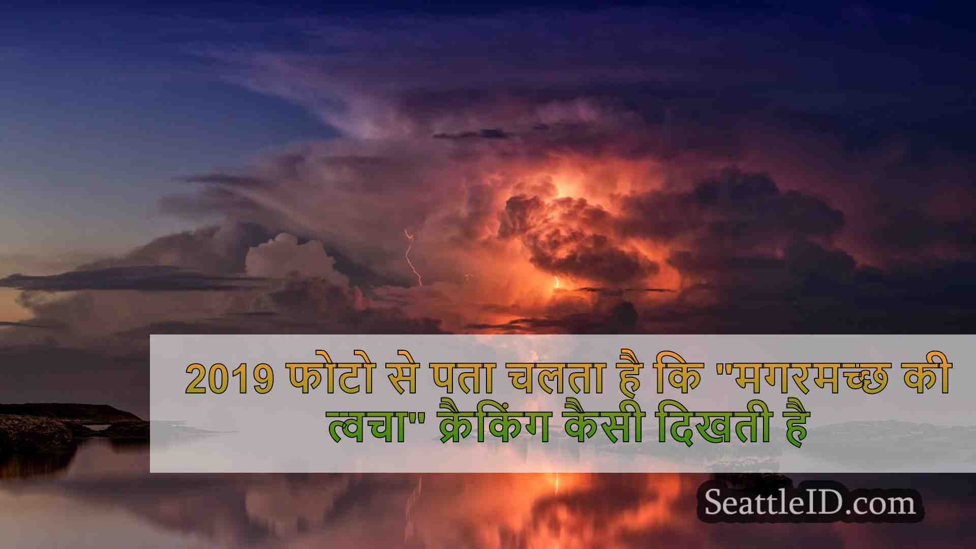 सिएटल समाचार SeattleID
