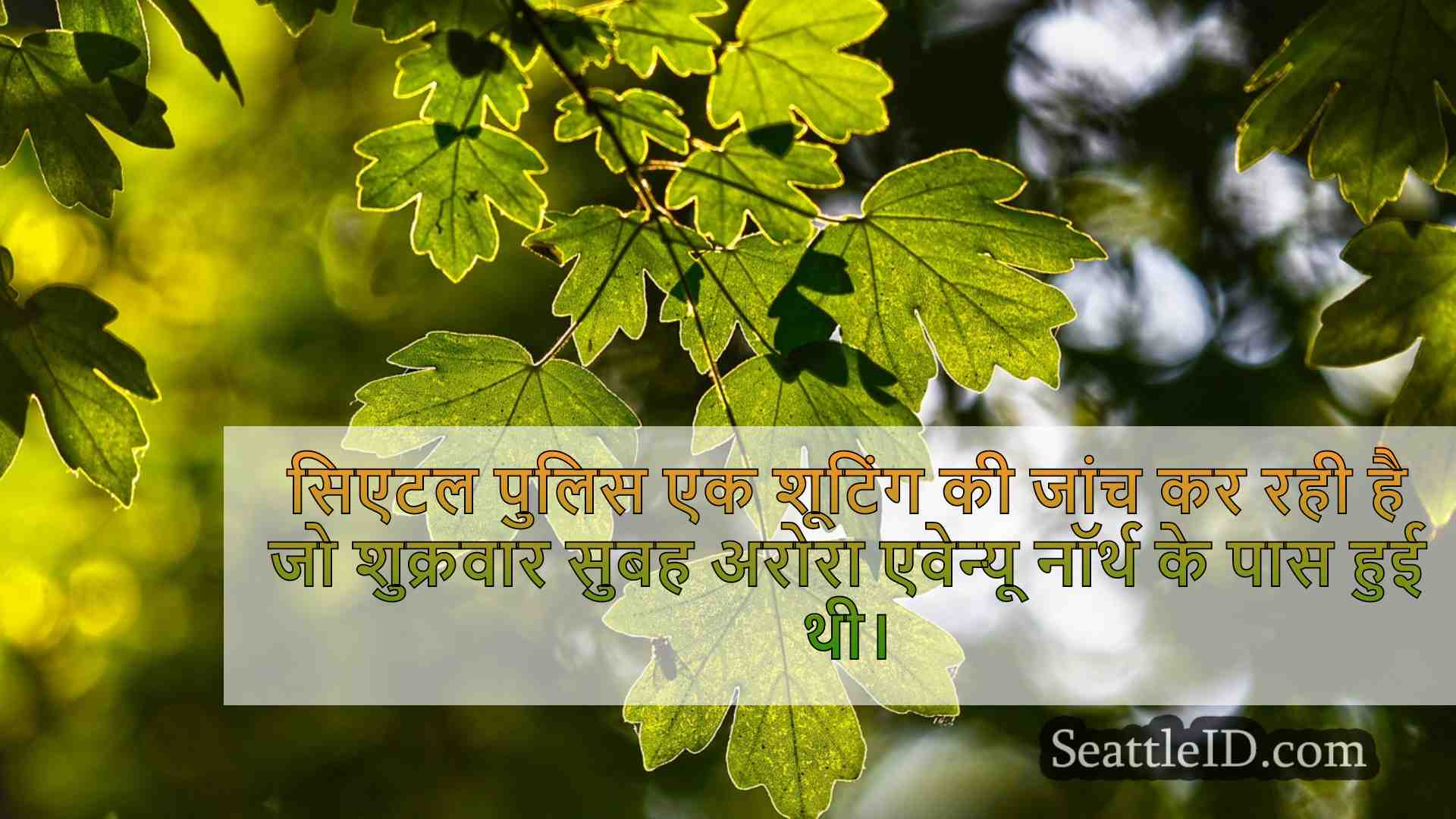 सिएटल समाचार SeattleID