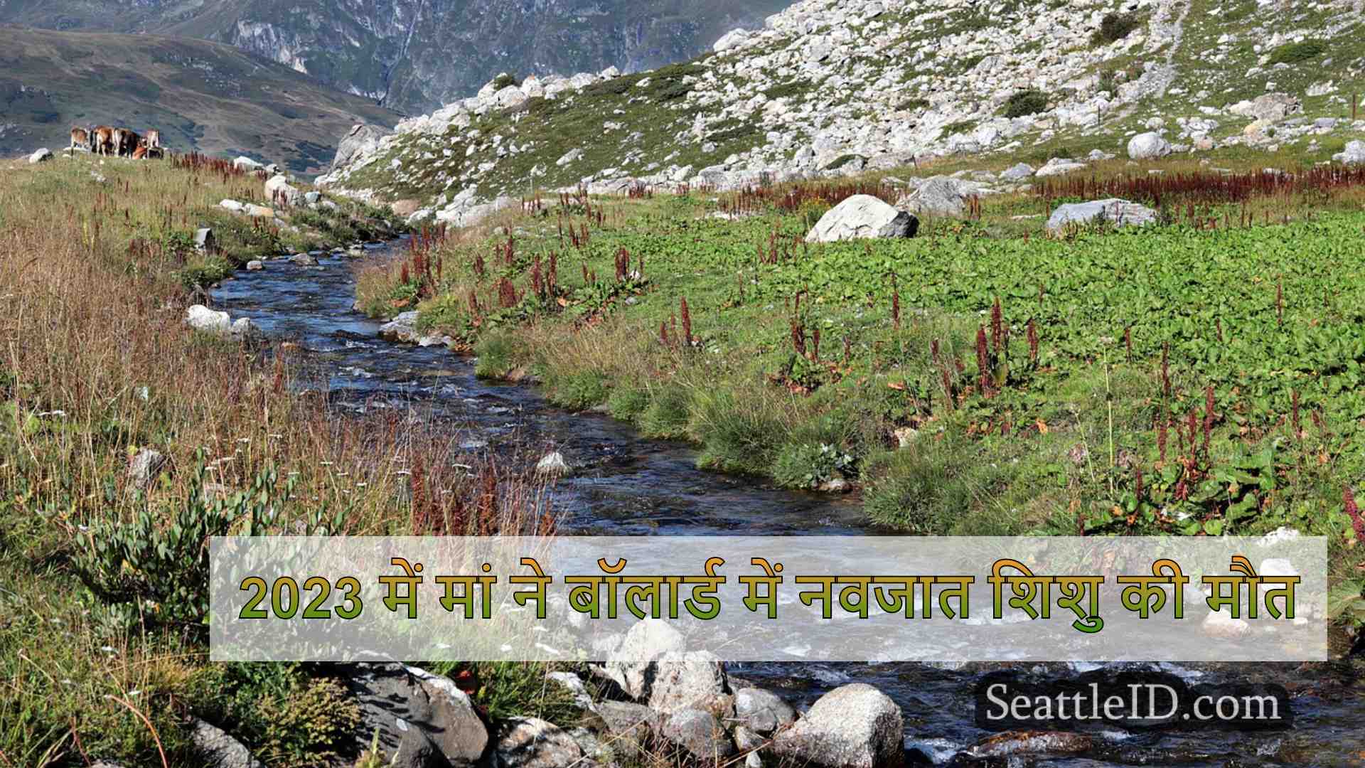 सिएटल समाचार SeattleID