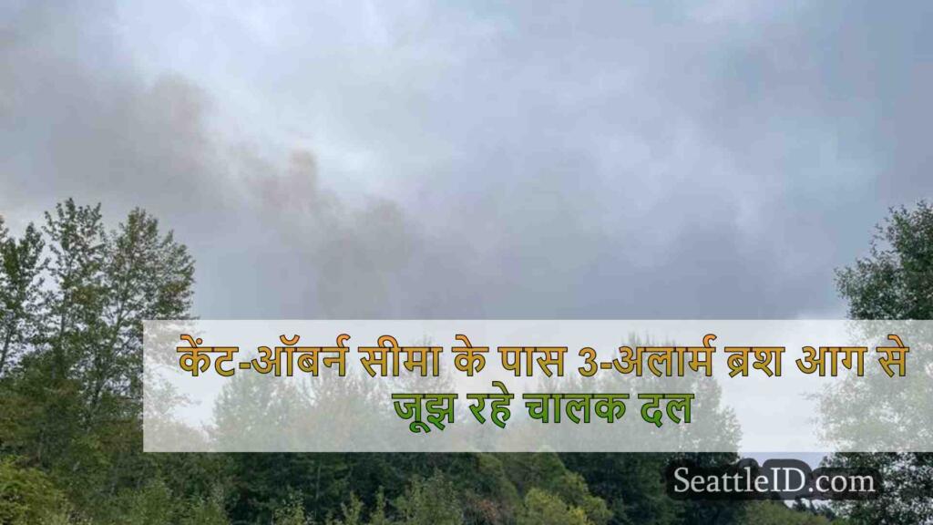 केंट-ऑबर्न सीमा के पास 3-अलार्म ब्रश आग