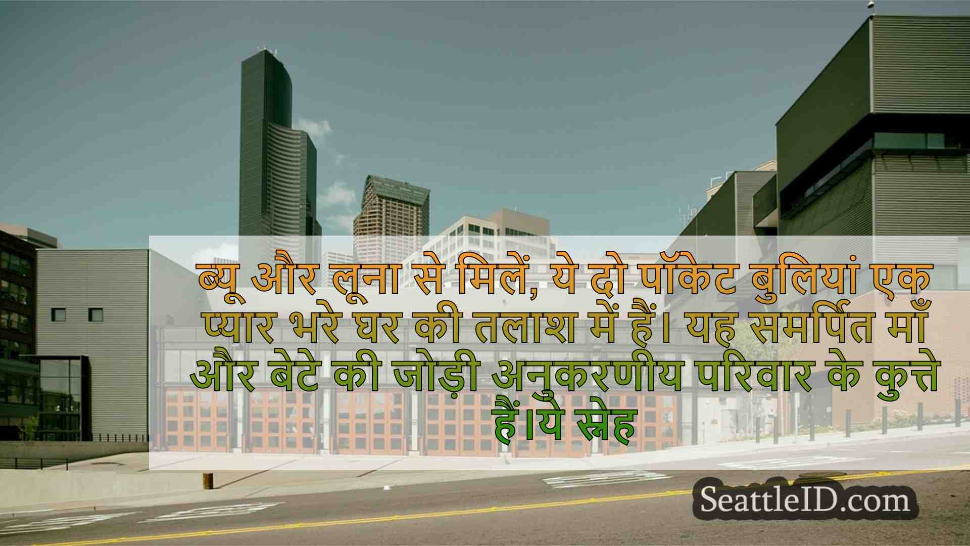 सिएटल समाचार SeattleID