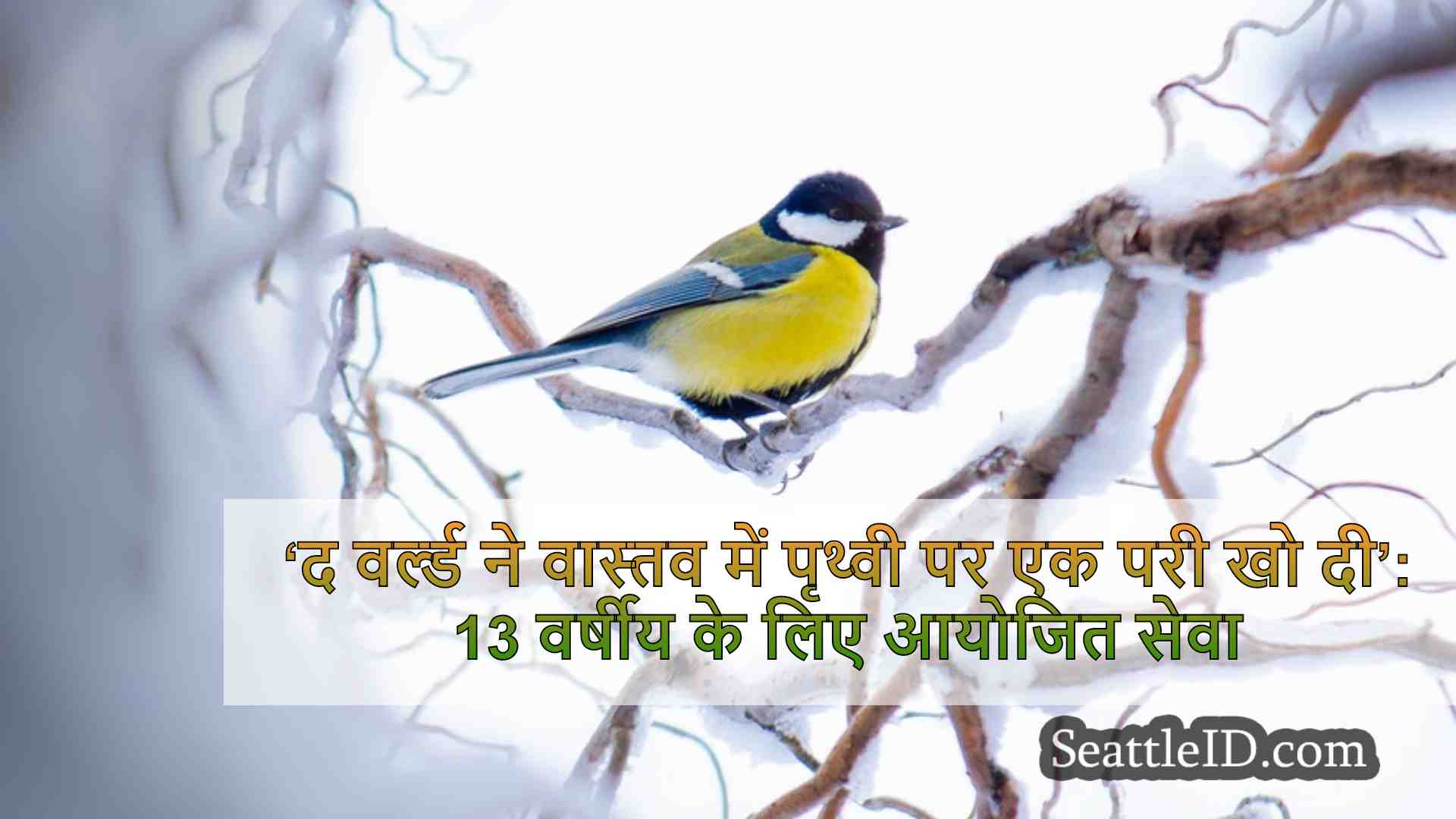 सिएटल समाचार SeattleID