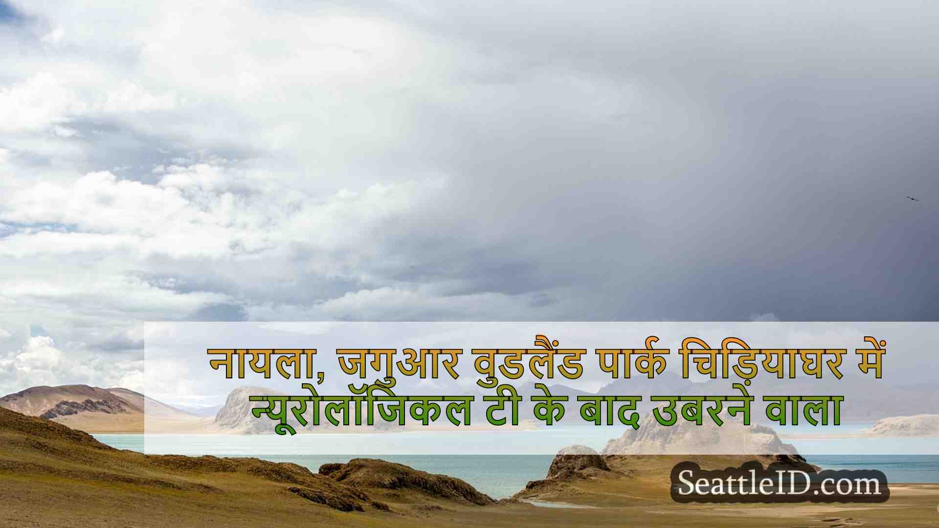 सिएटल समाचार SeattleID