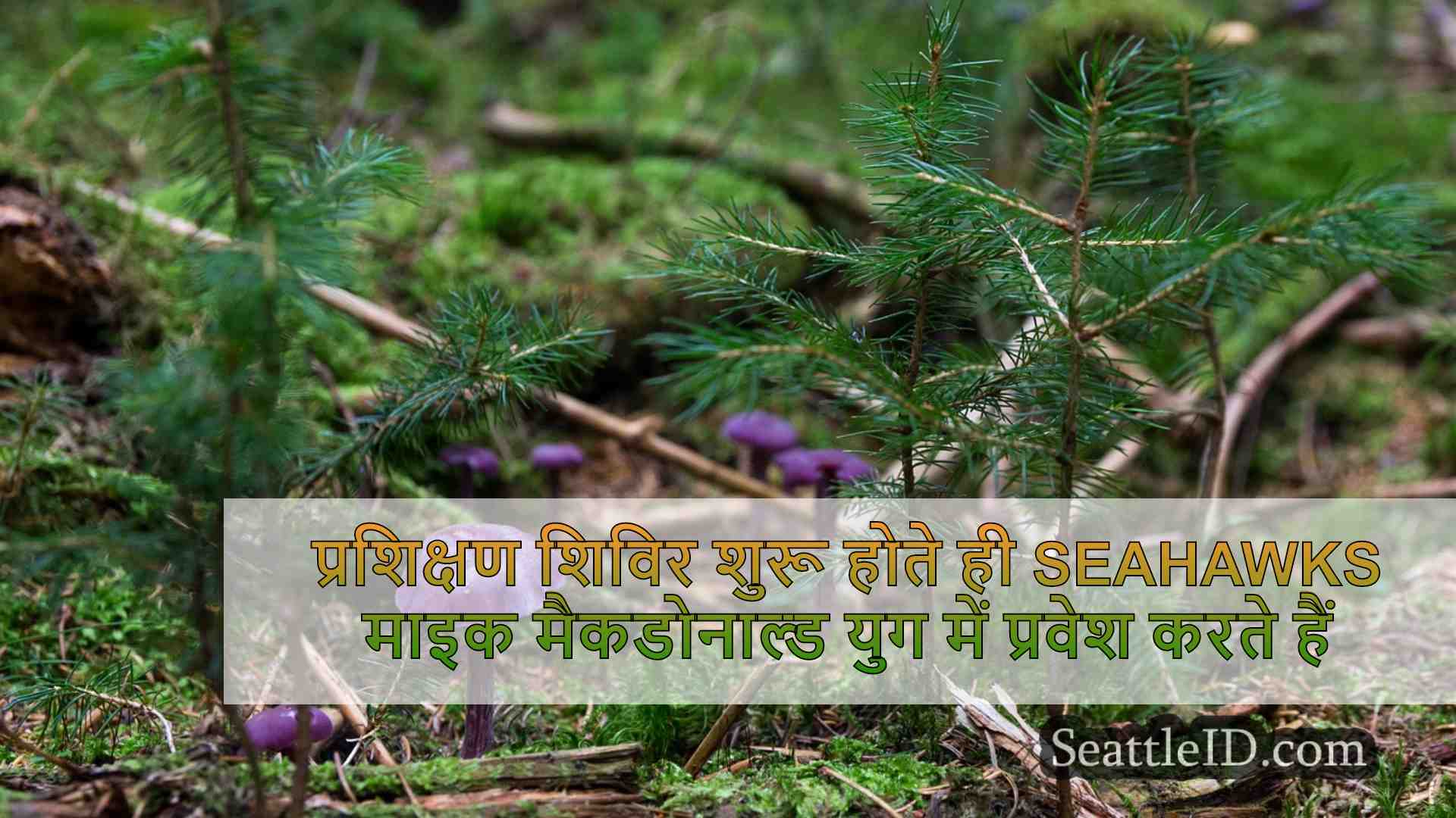 सिएटल समाचार SeattleID