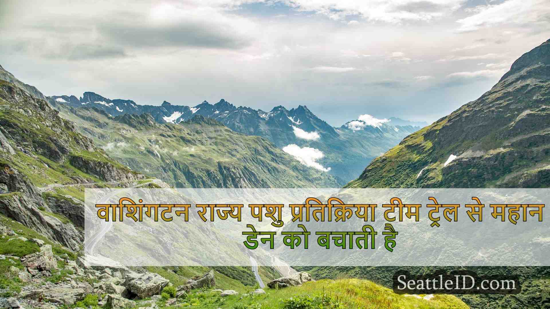 सिएटल समाचार SeattleID