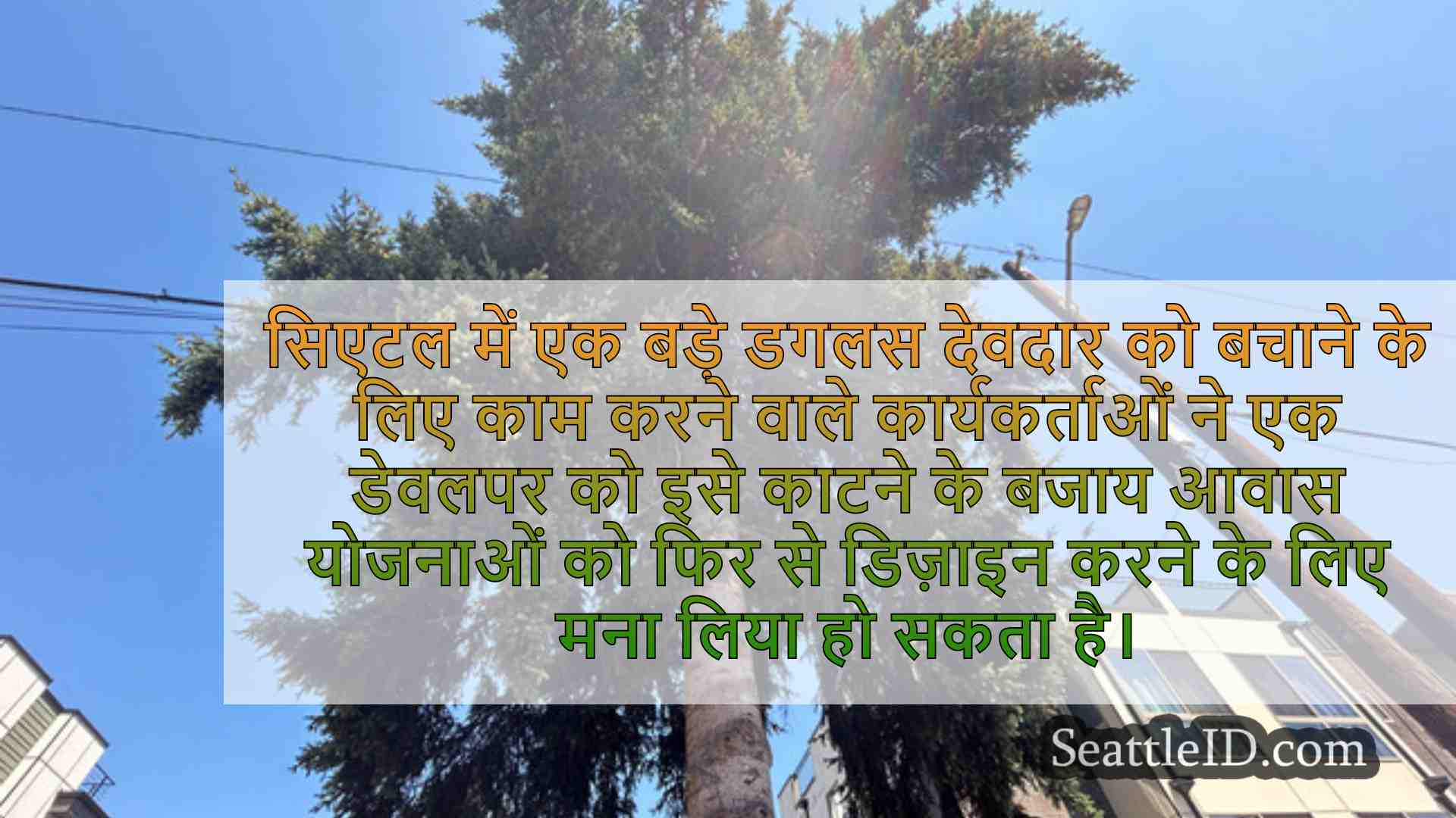 सिएटल समाचार SeattleID