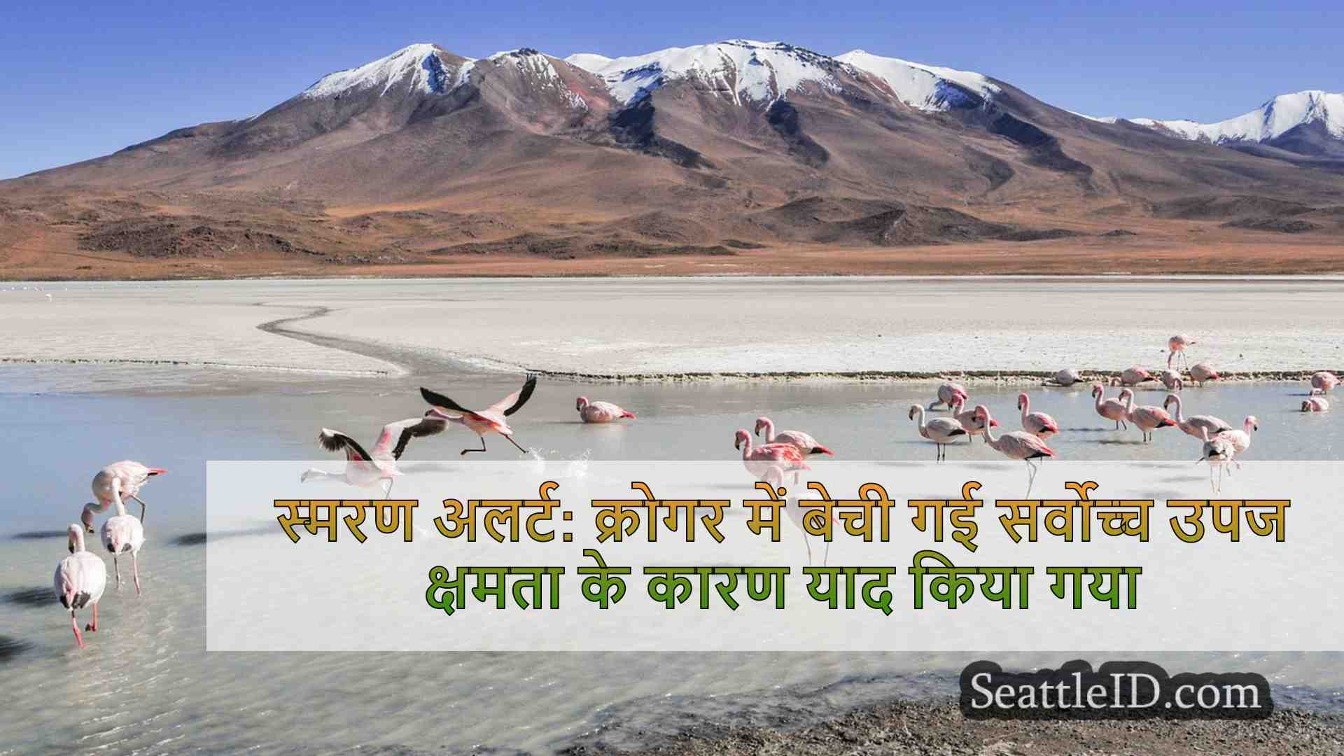सिएटल समाचार SeattleID
