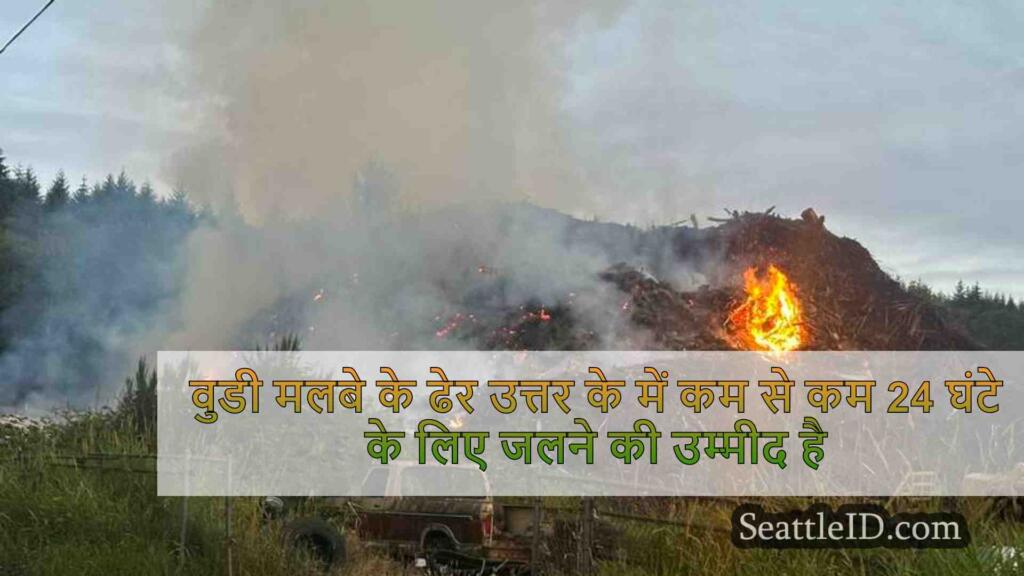 वुडी के मलबे के ढेर उत्तर कीटप में कम