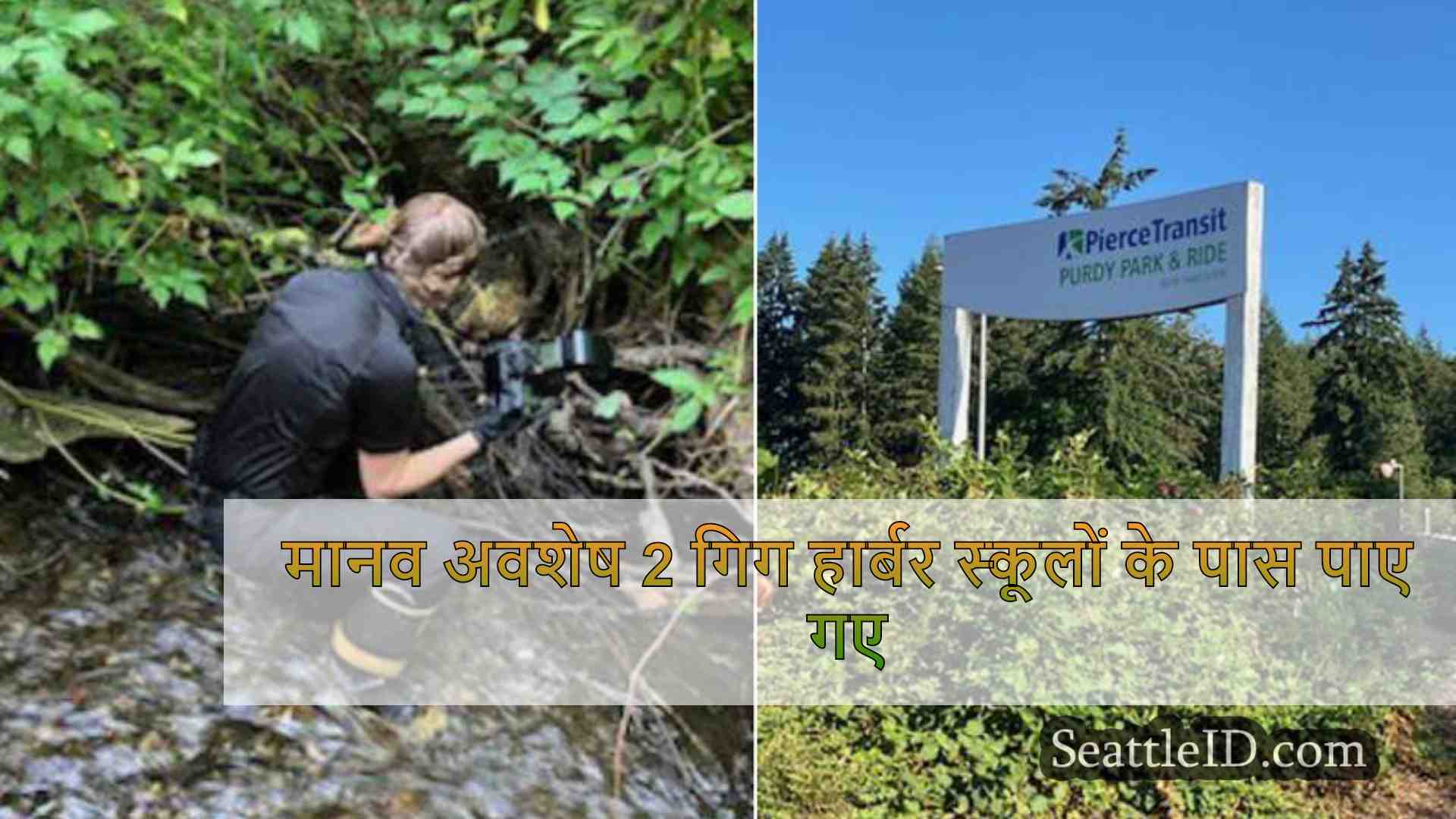 मानव अवशेष 2 गिग हार्बर स्कूलों के पास