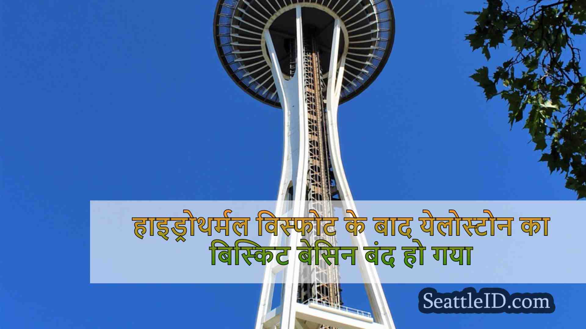 सिएटल समाचार SeattleID