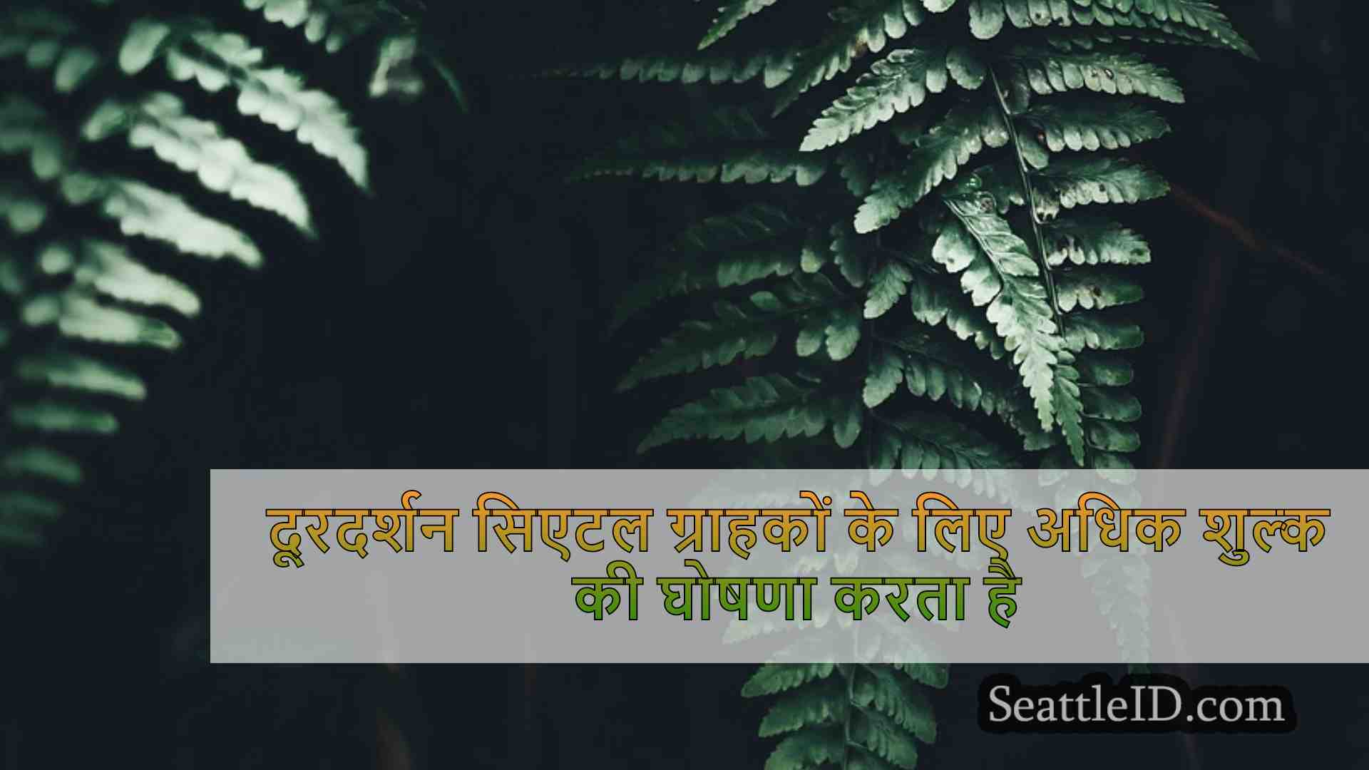 सिएटल समाचार SeattleID