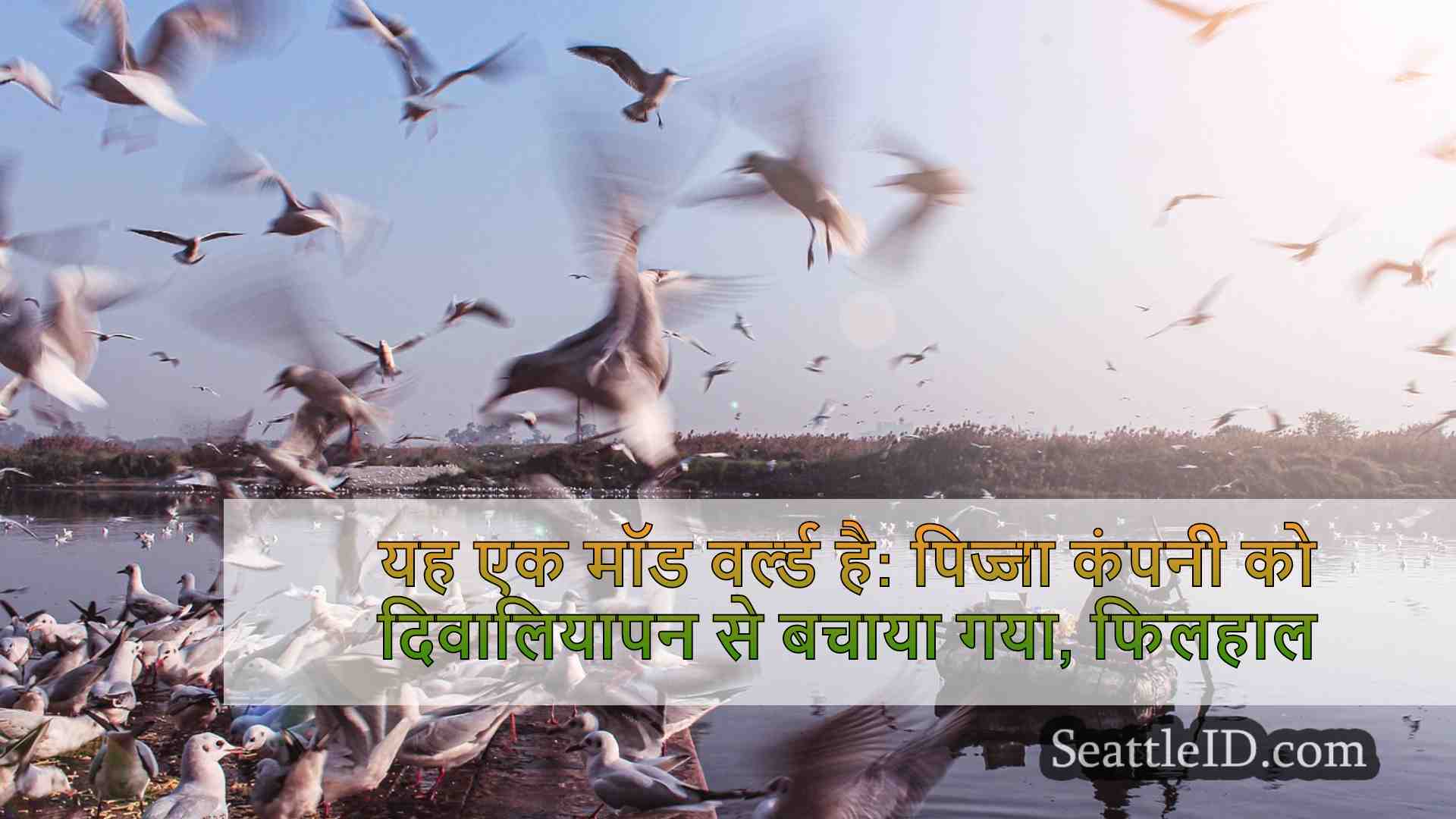 सिएटल समाचार SeattleID