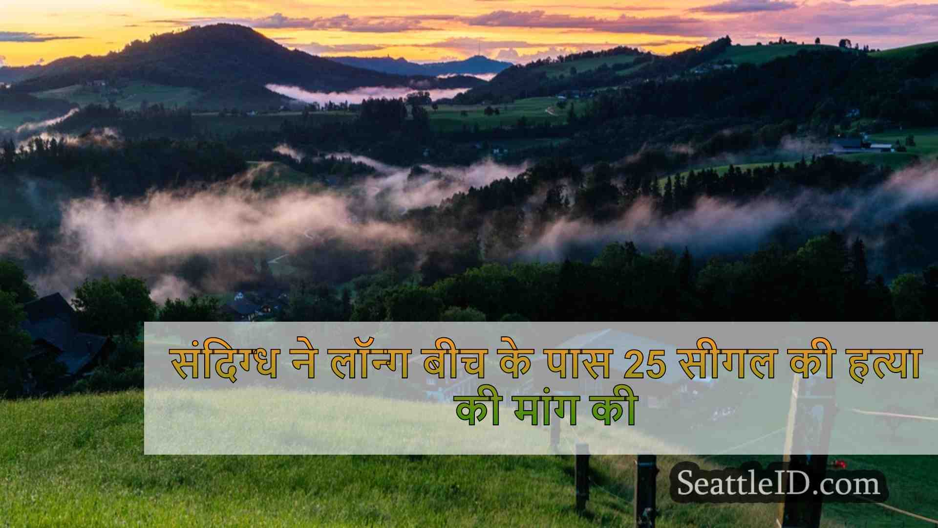 सिएटल समाचार SeattleID