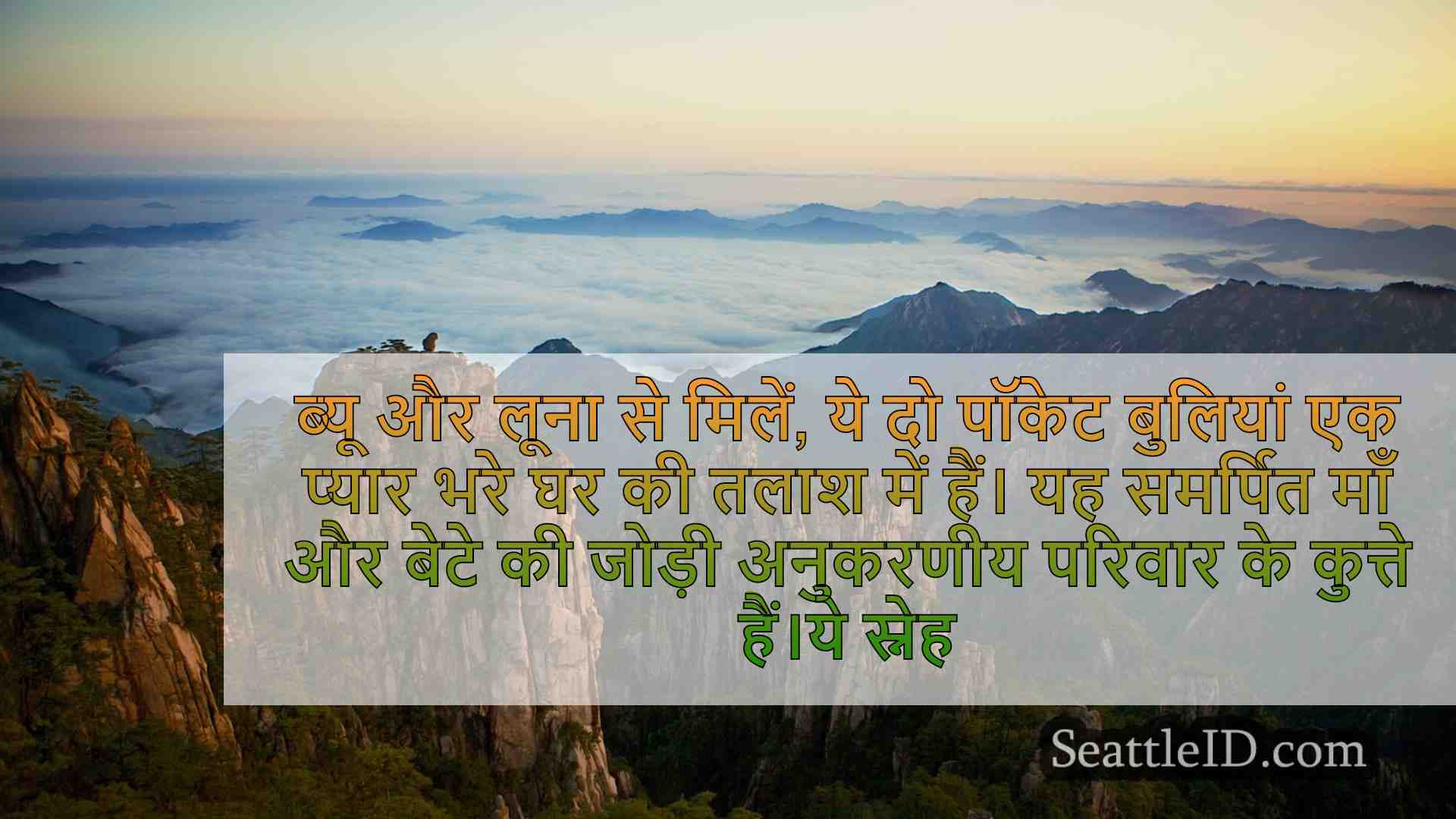 सिएटल समाचार SeattleID